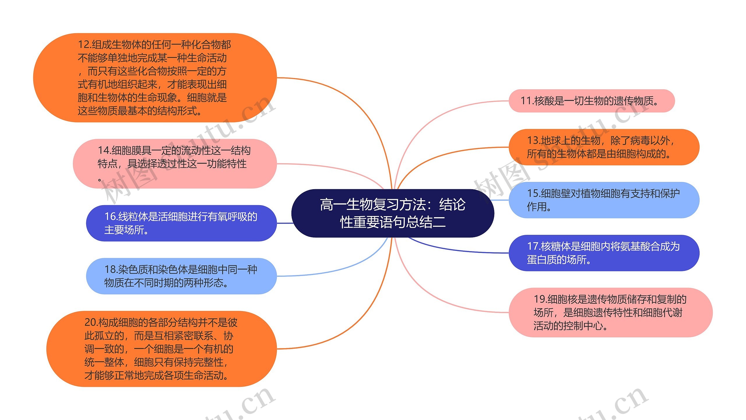 高一生物复习方法：结论性重要语句总结二思维导图