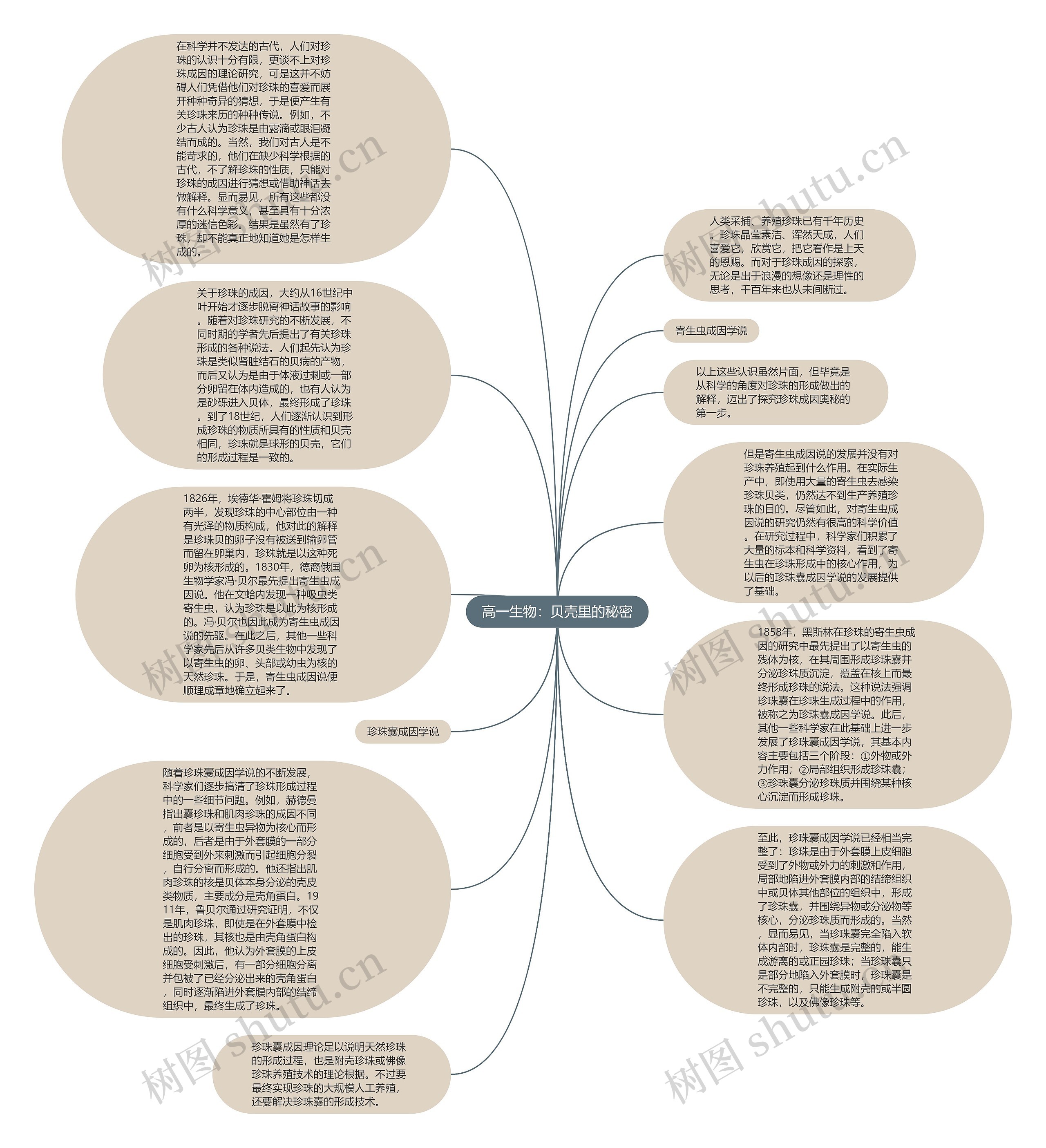 高一生物：贝壳里的秘密思维导图