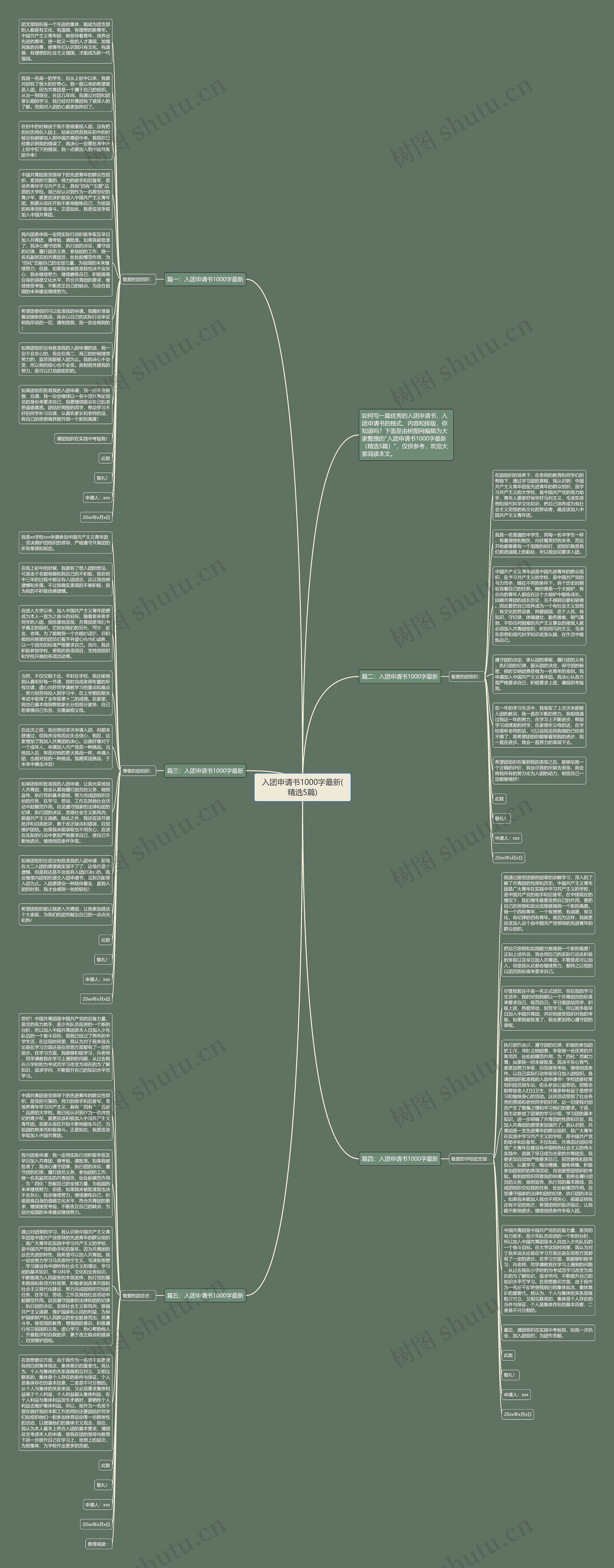 入团申请书1000字最新(精选5篇)思维导图