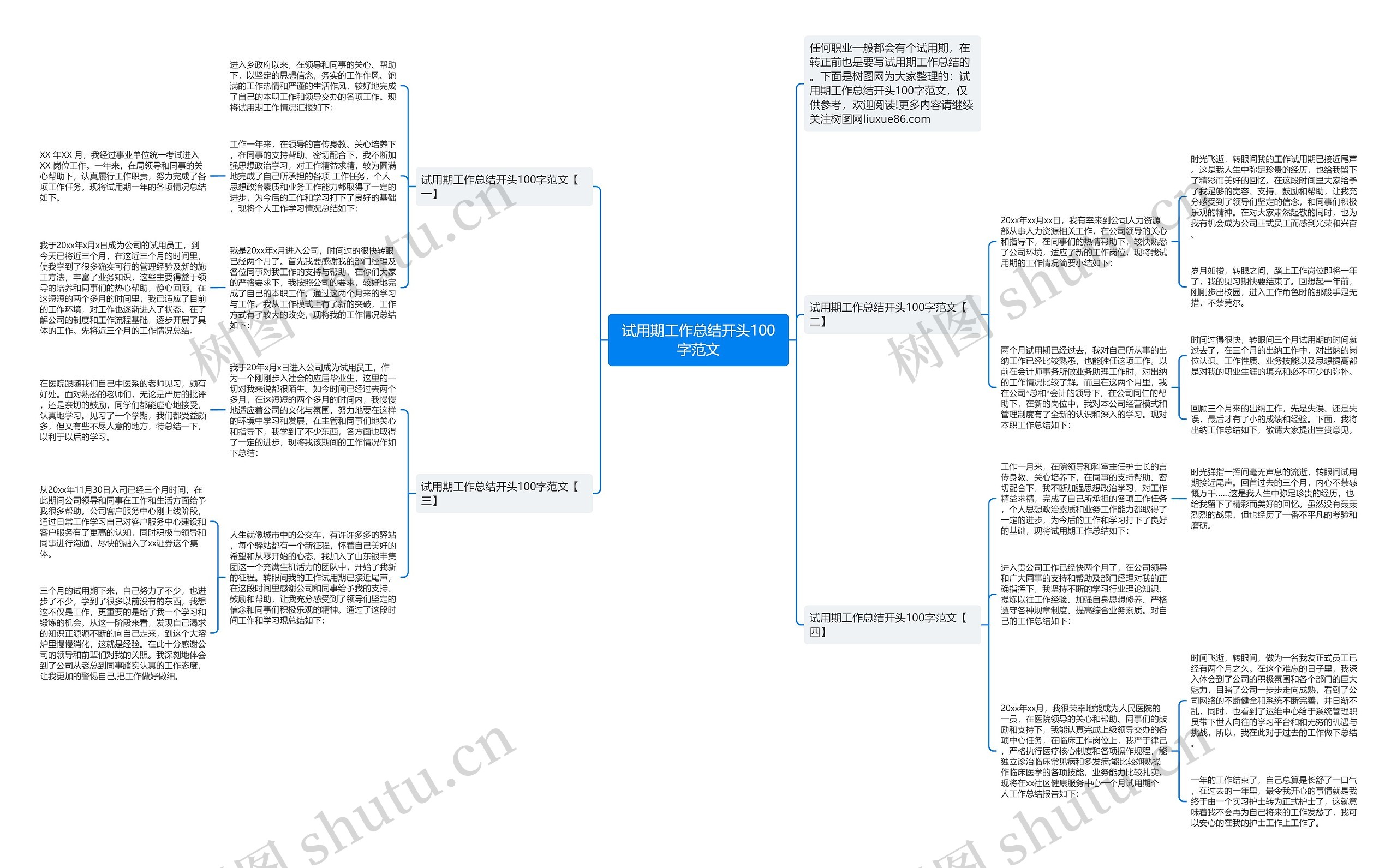 试用期工作总结开头100字范文思维导图
