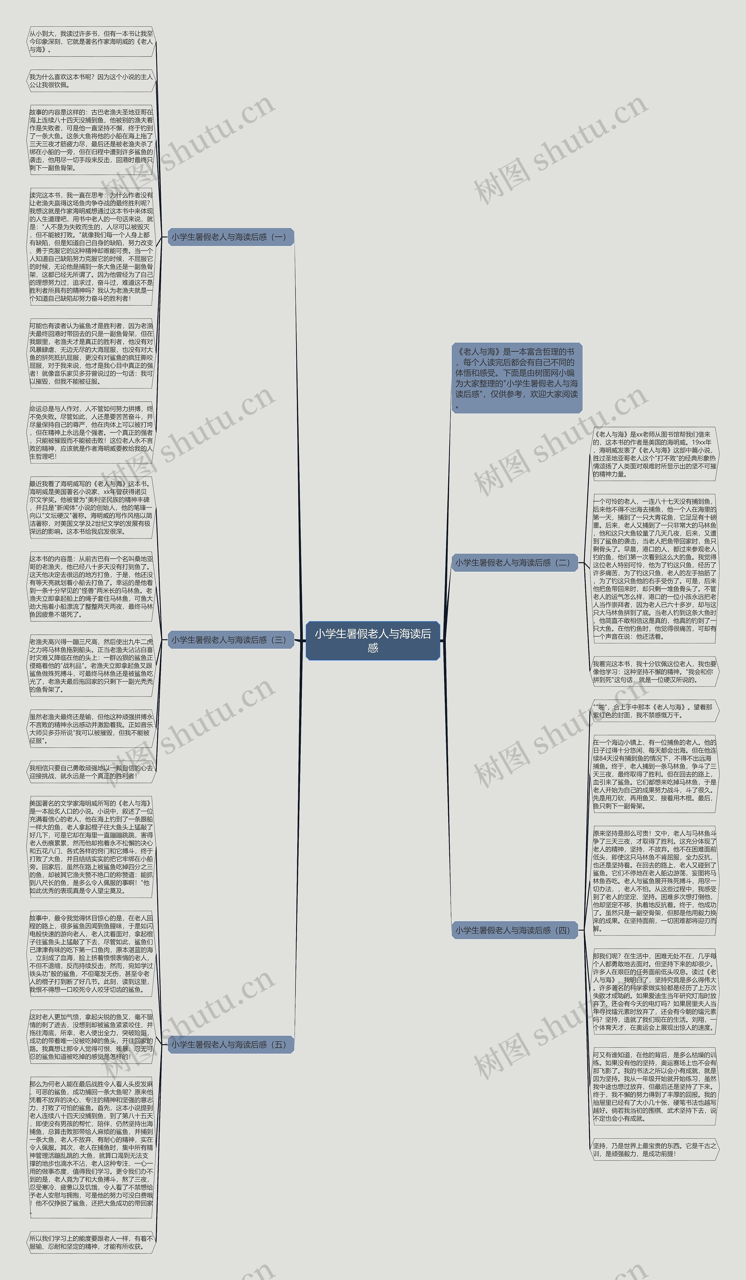 小学生暑假老人与海读后感思维导图