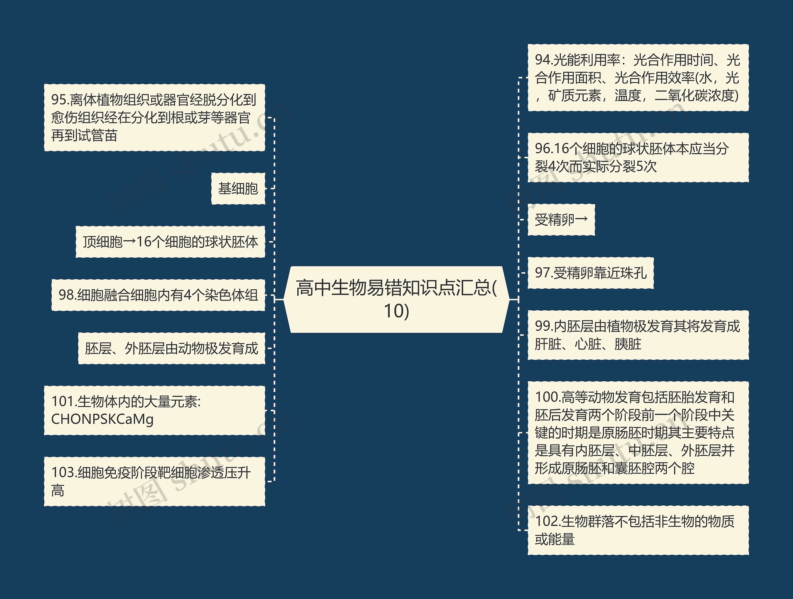 高中生物易错知识点汇总(10)思维导图