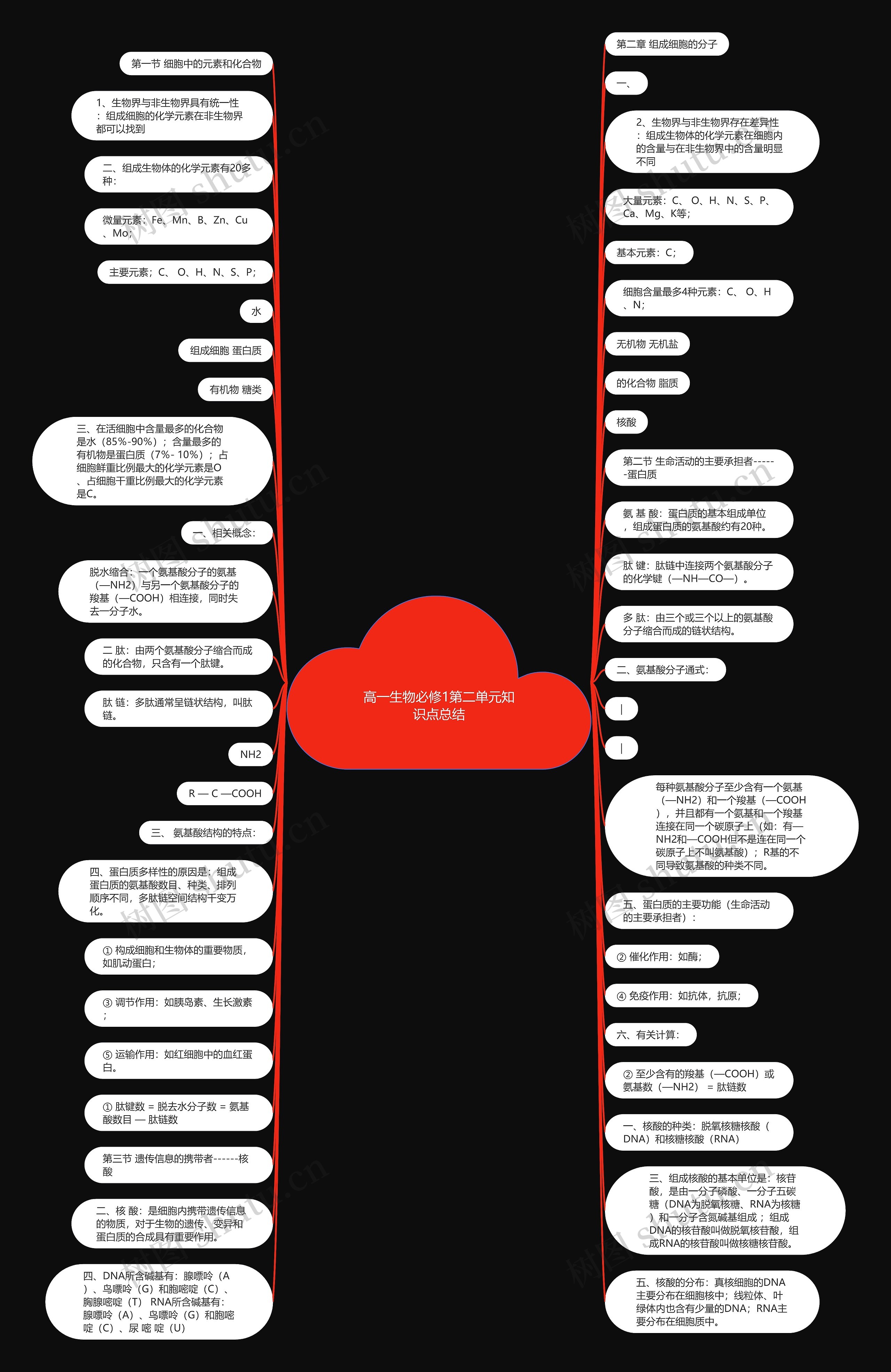 高一生物必修1第二单元知识点总结思维导图