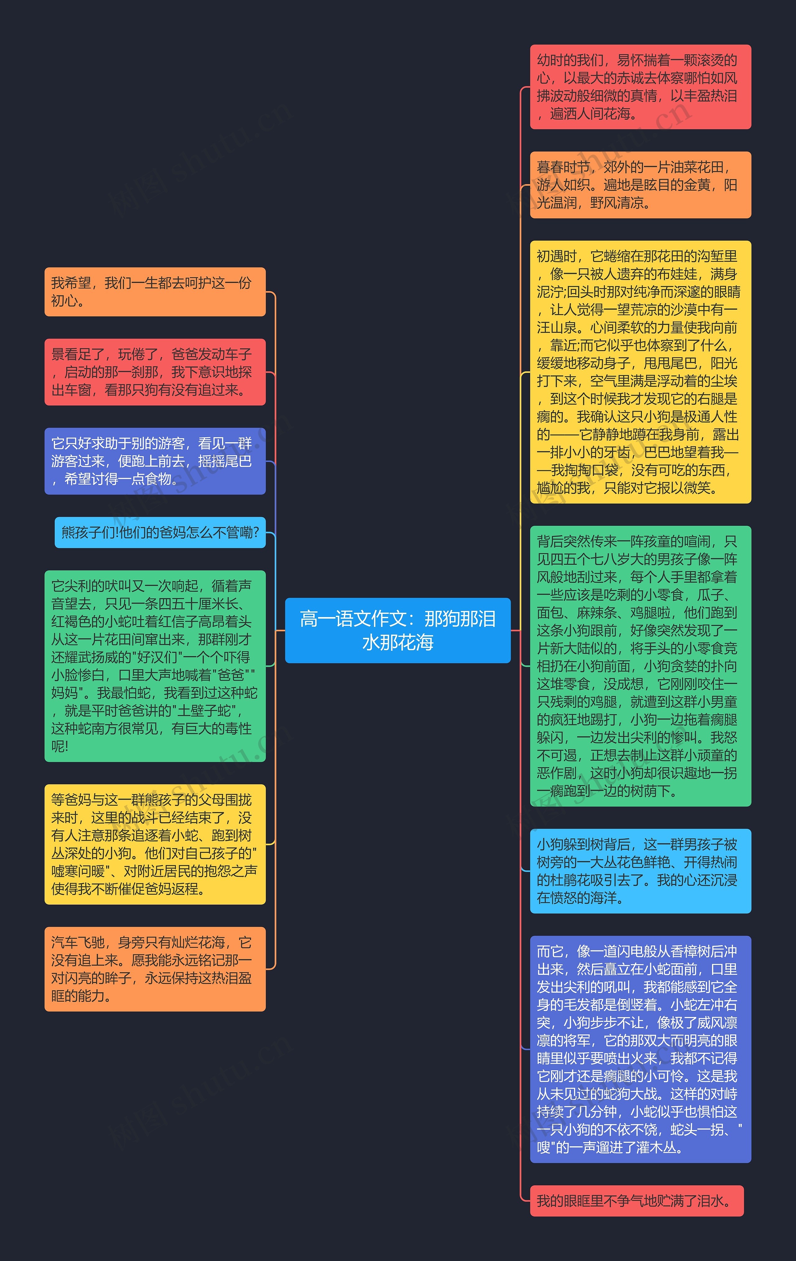 高一语文作文：那狗那泪水那花海思维导图