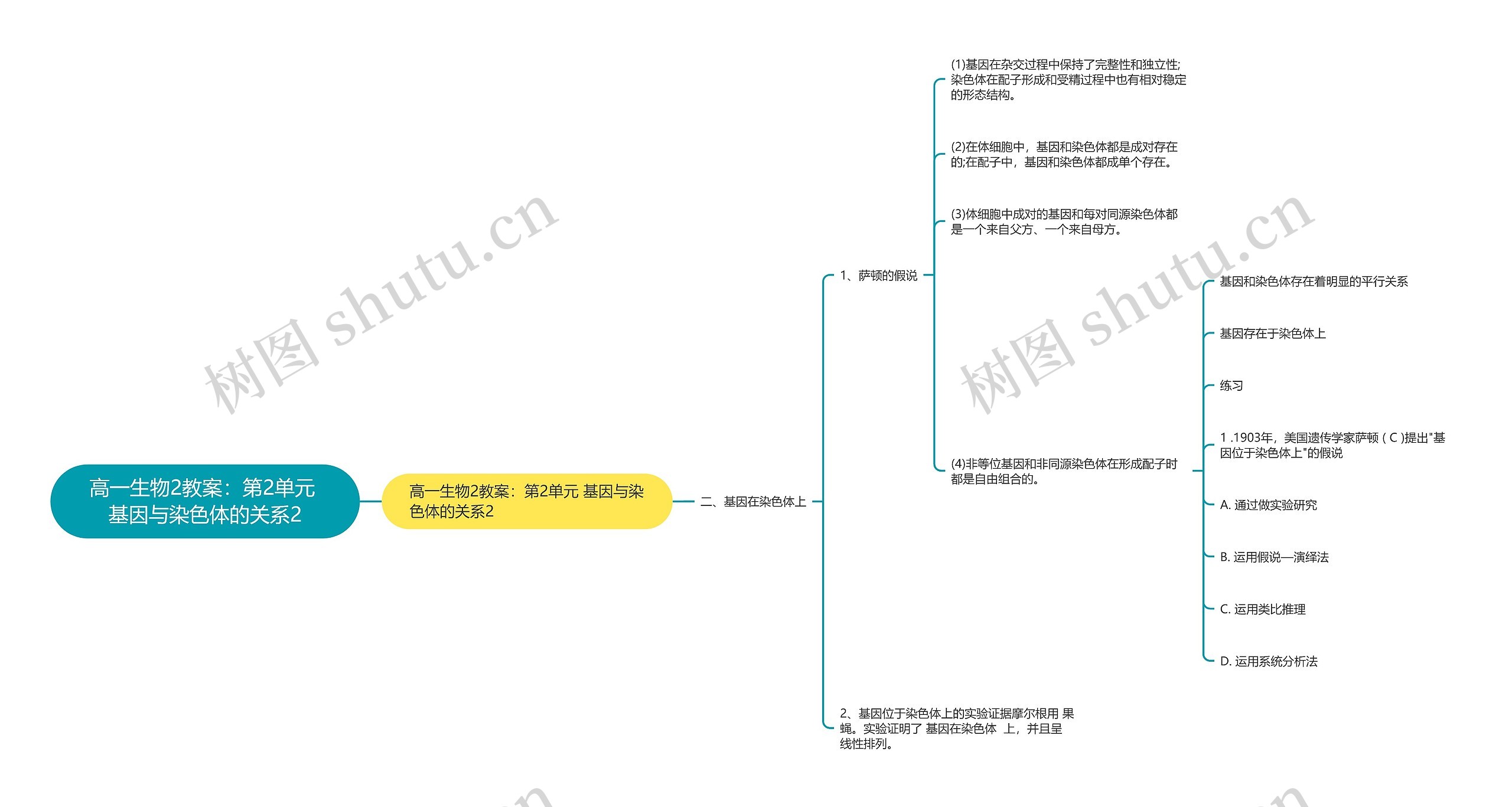高一生物2教案:第2单元 基因与染色体的关系2 高一生物2教案:第2单元 基因与染色体的关系2