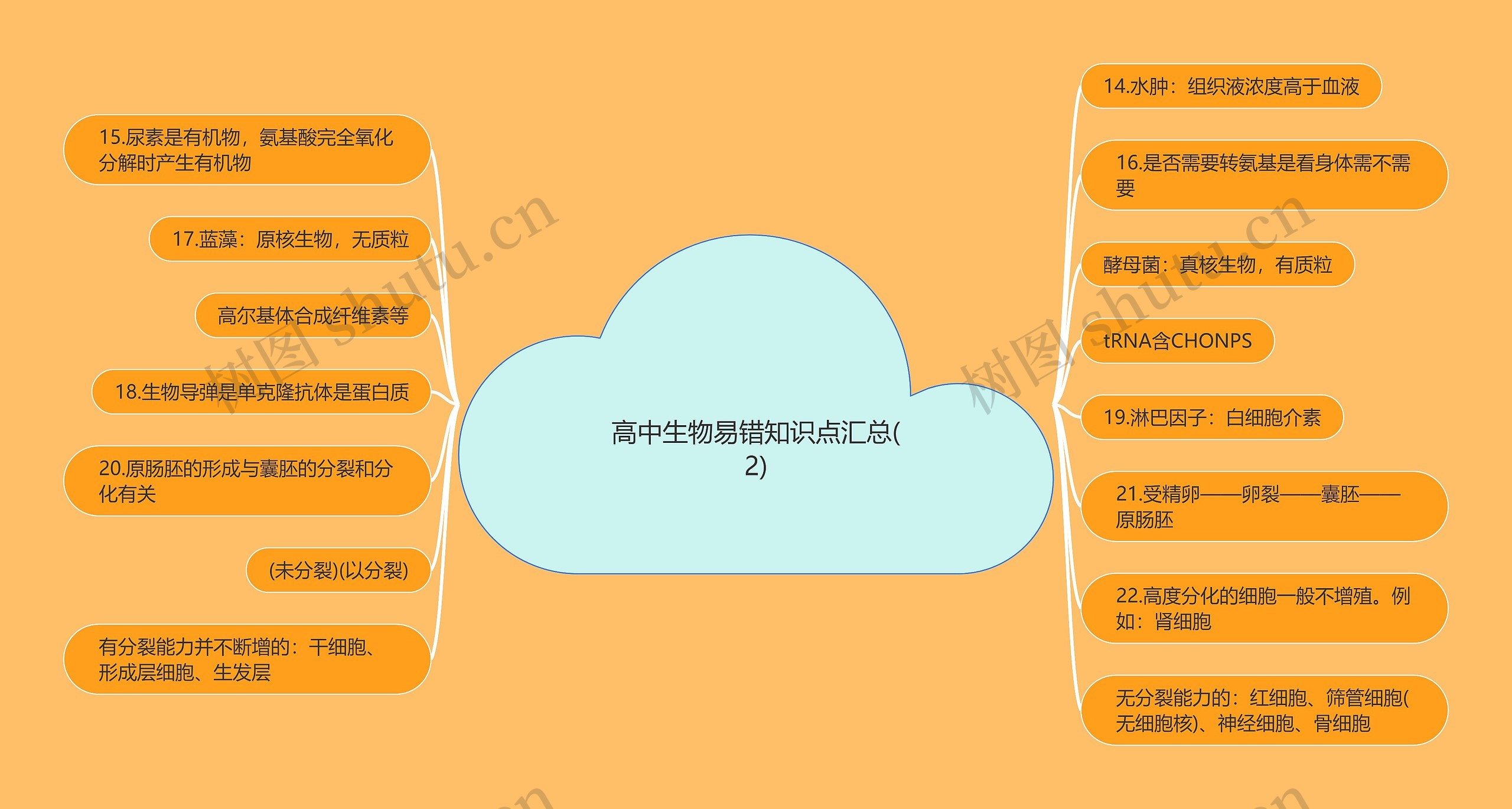 高中生物易错知识点汇总(2)