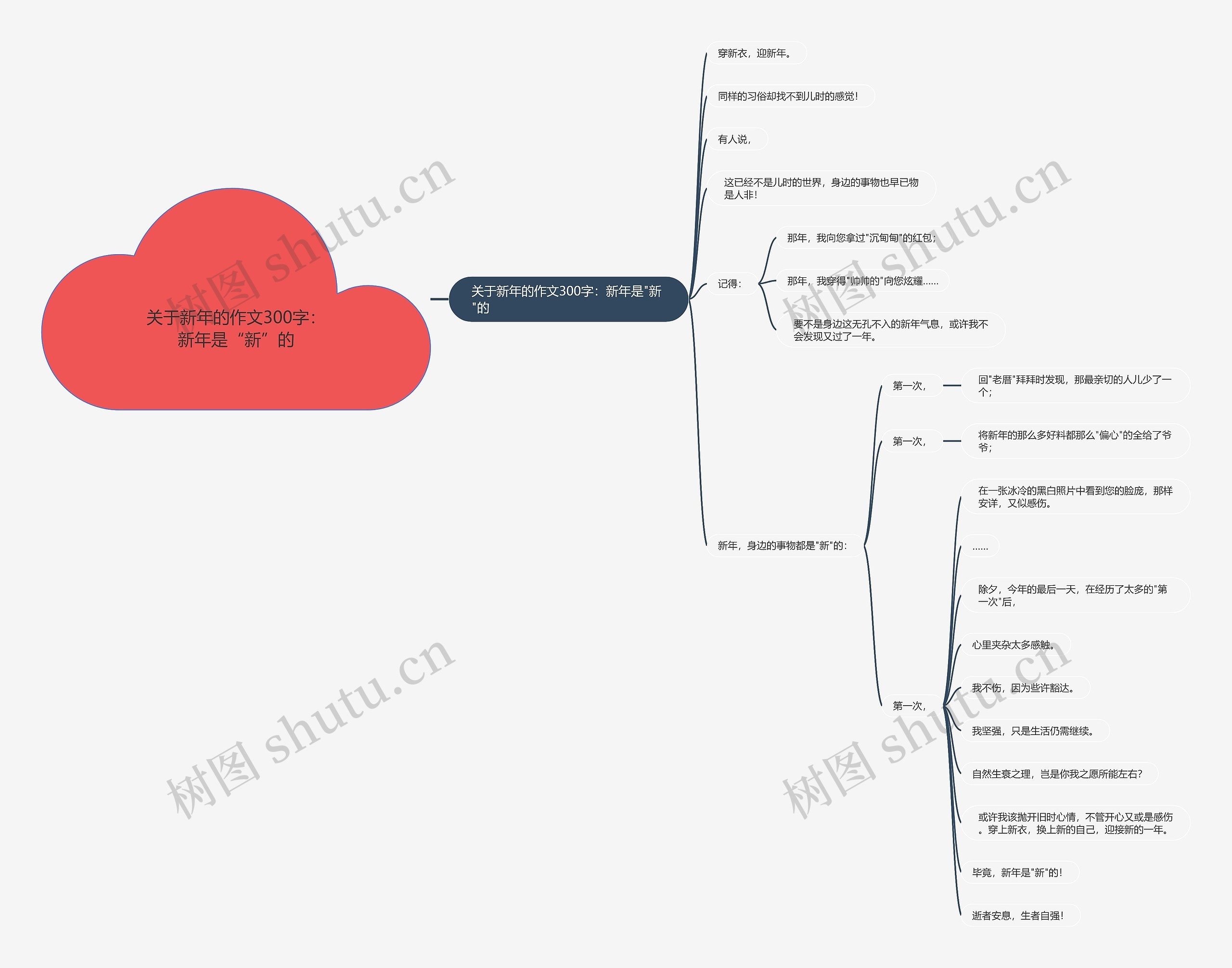 关于新年的作文300字：新年是“新”的思维导图