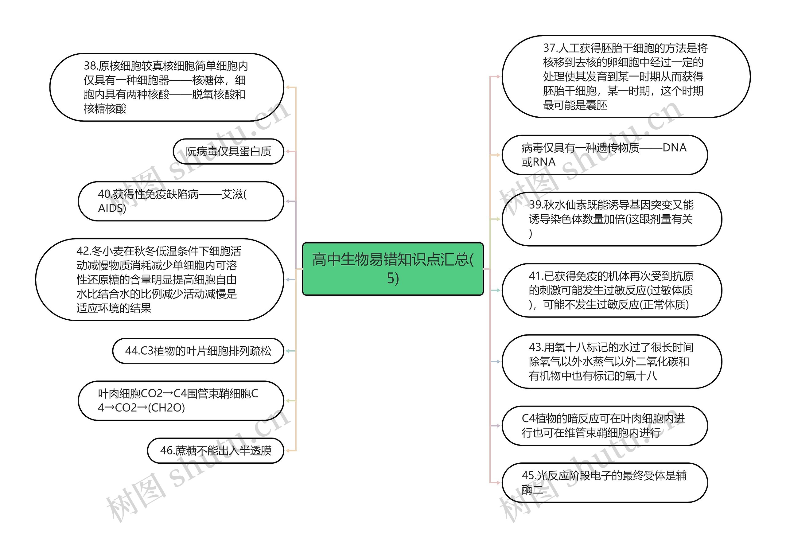 高中生物易错知识点汇总(5)思维导图