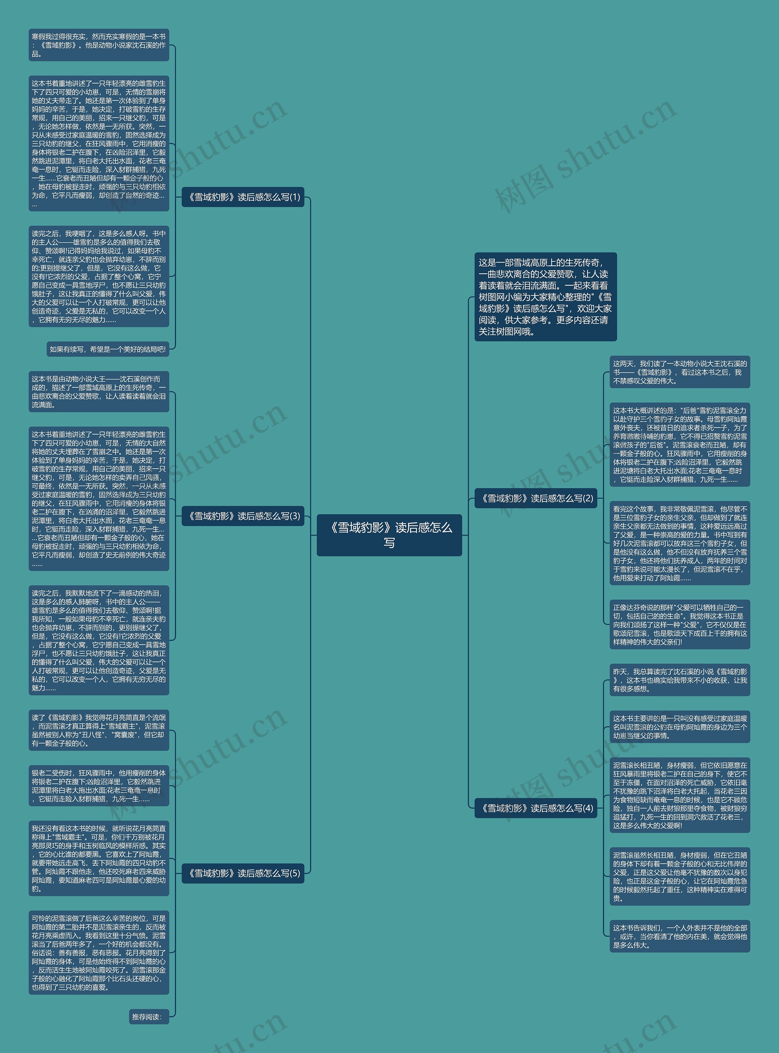 《雪域豹影》读后感怎么写思维导图