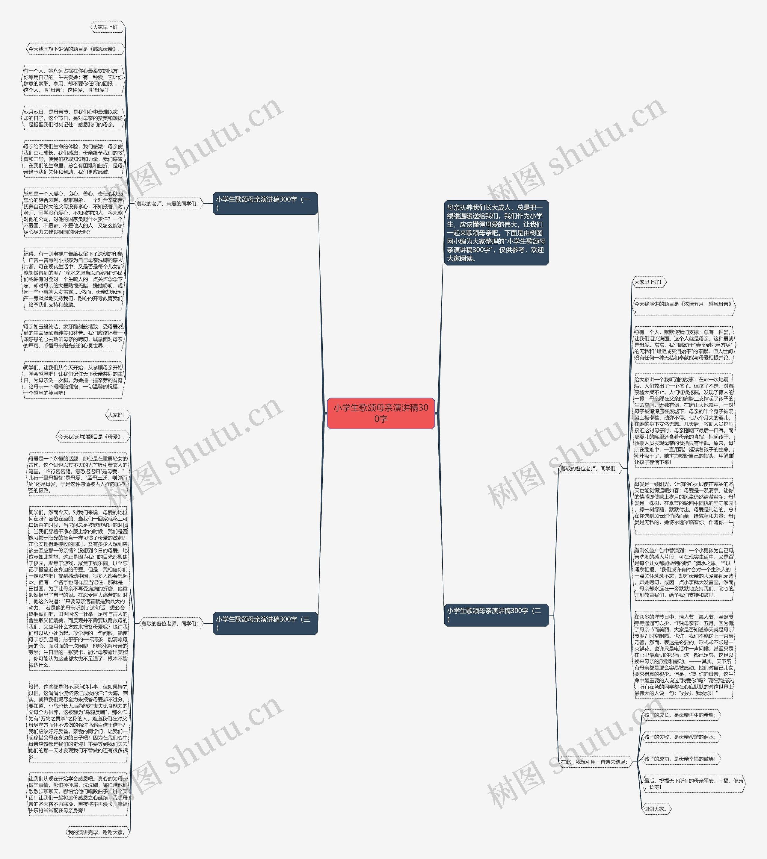 小学生歌颂母亲演讲稿300字思维导图