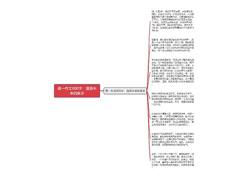 高一作文800字：漫游未来的家乡