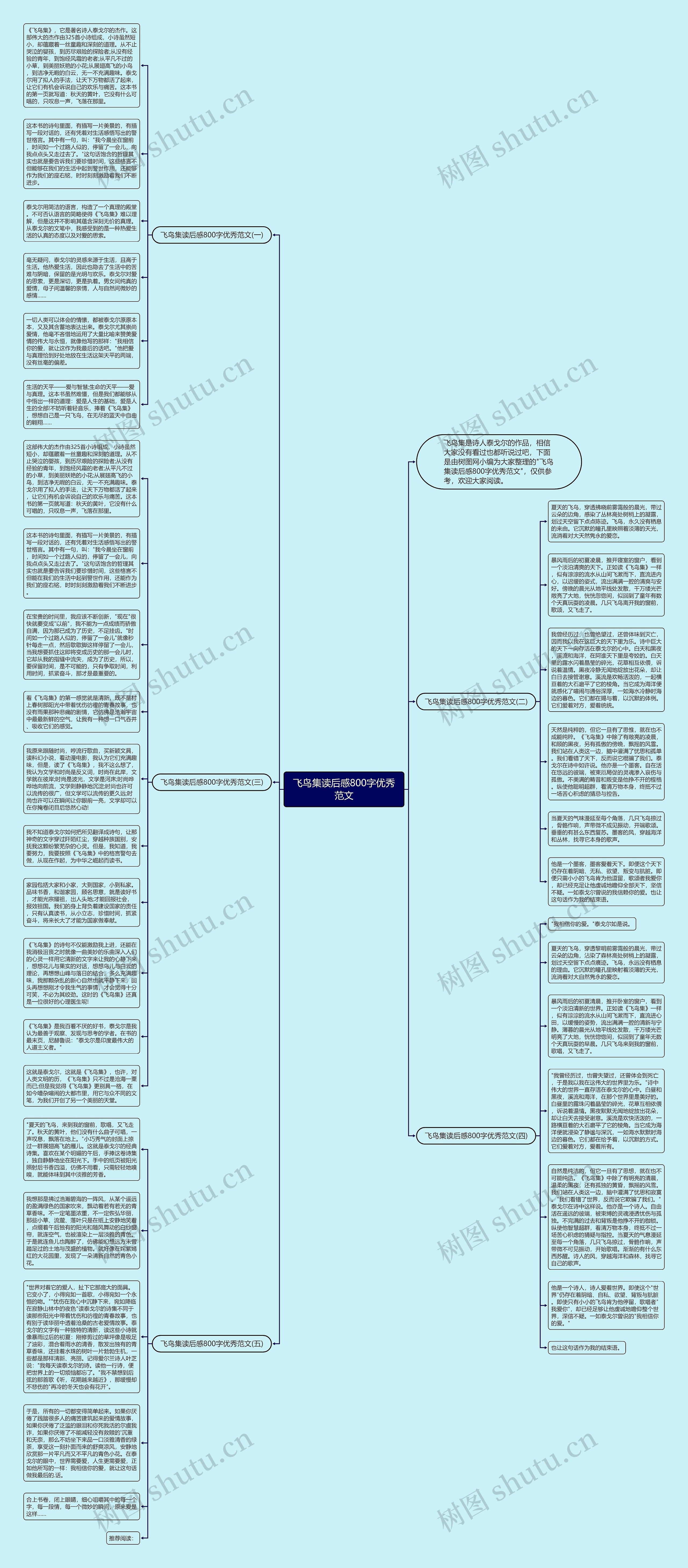飞鸟集读后感800字优秀范文思维导图