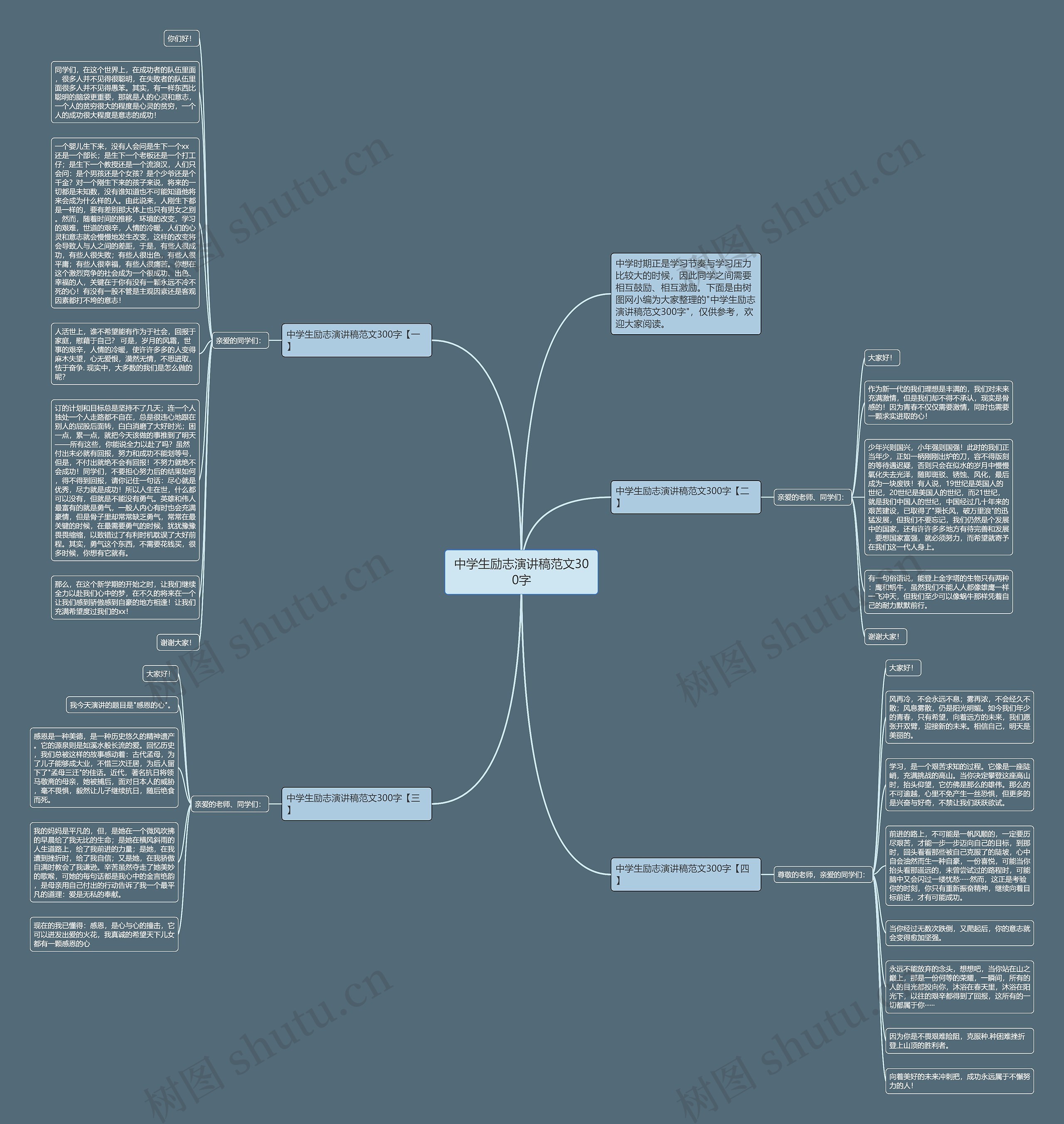 中学生励志演讲稿范文300字思维导图
