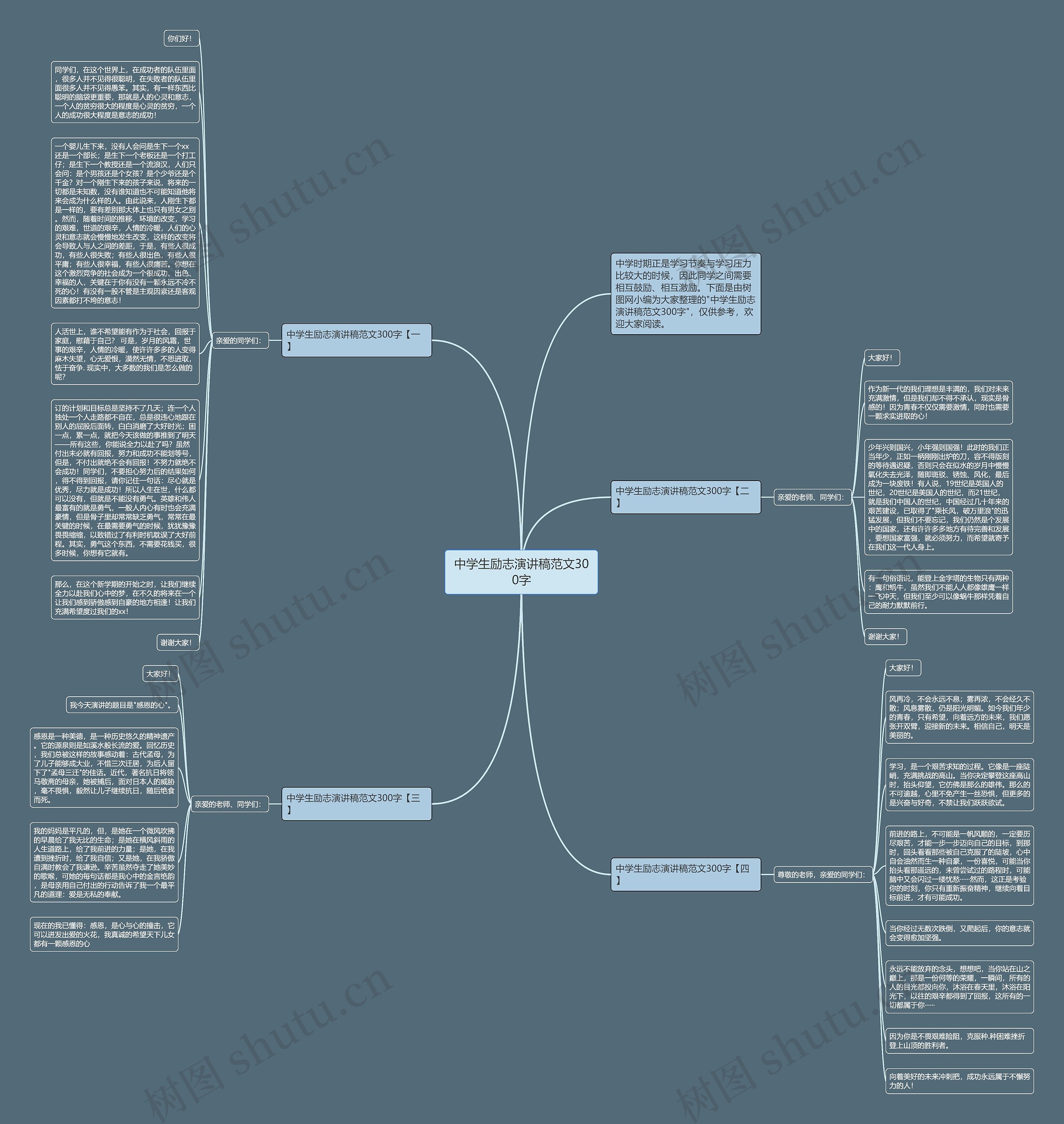 中学生励志演讲稿范文300字思维导图高清图 中学生励志演讲稿范文300字思维导图