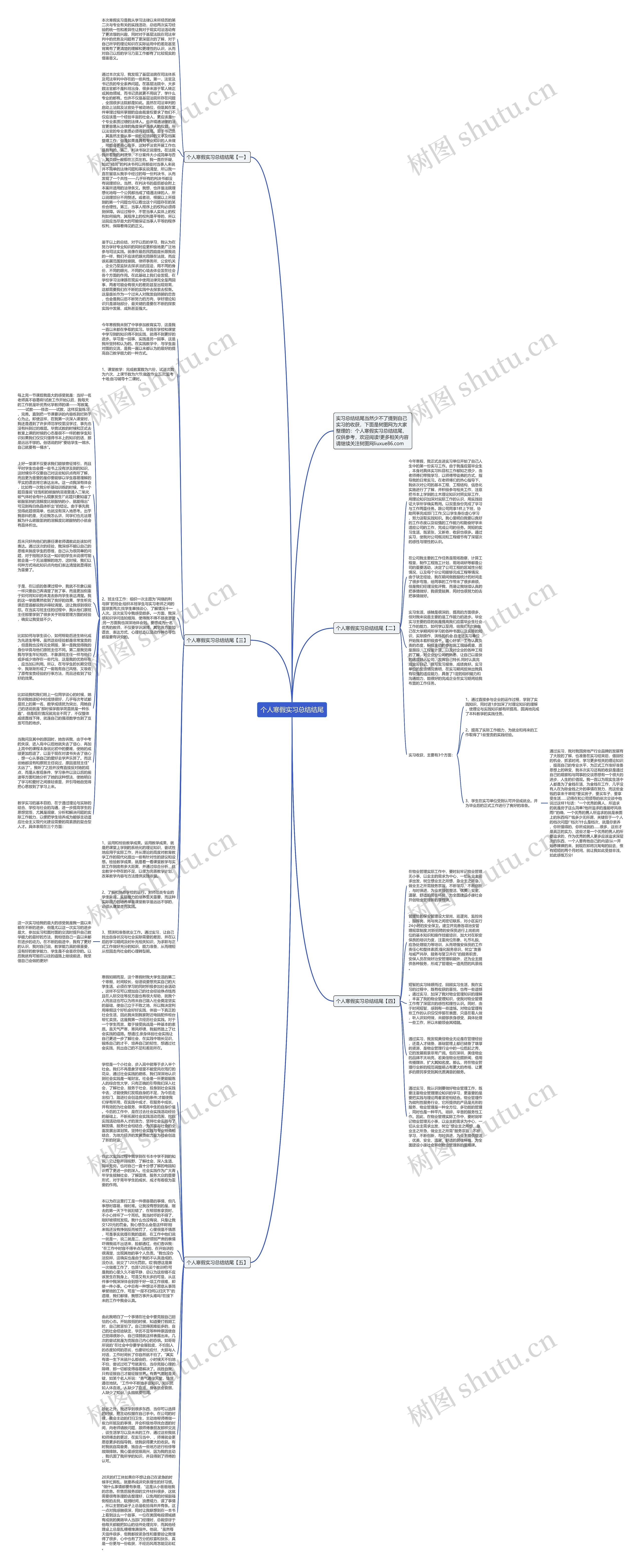 个人寒假实习总结结尾思维导图
