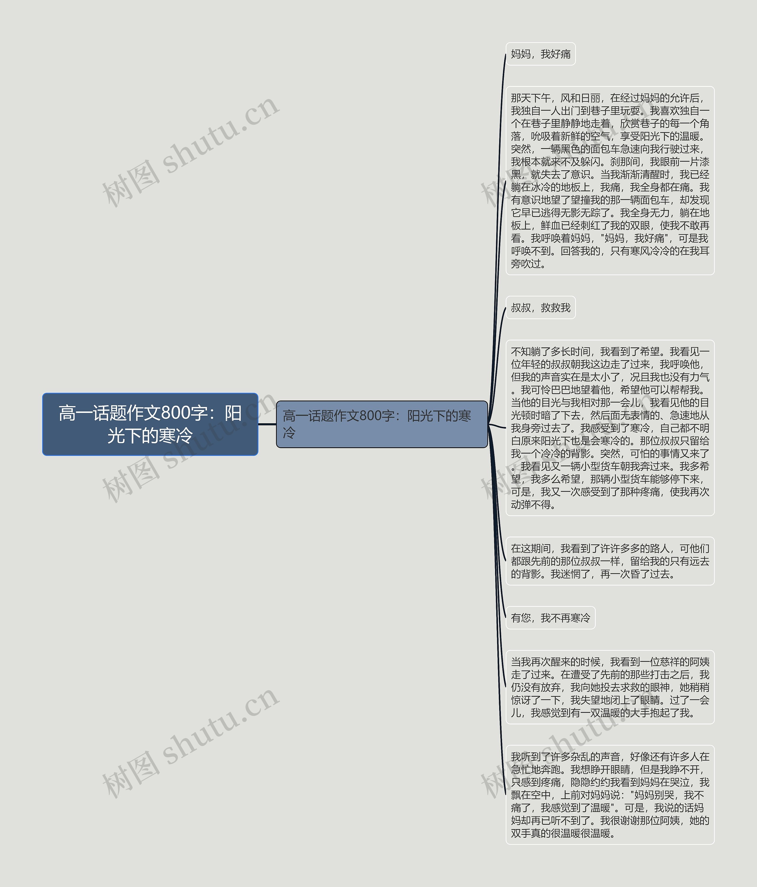 高一话题作文800字：阳光下的寒冷思维导图