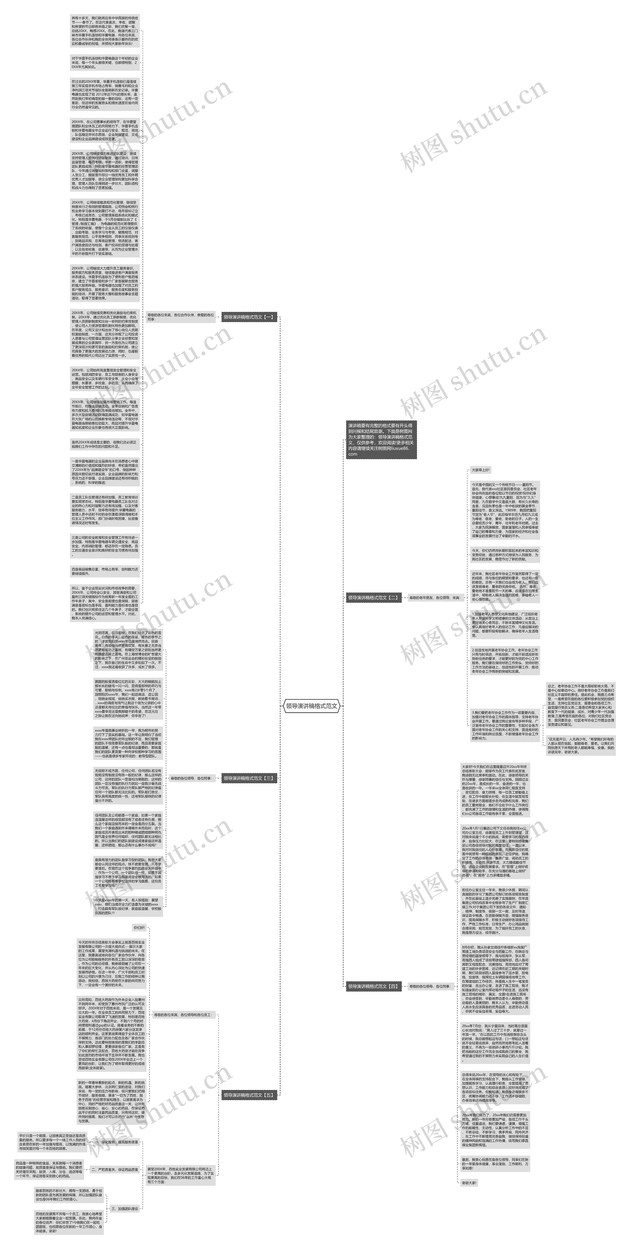 领导演讲稿格式范文思维导图