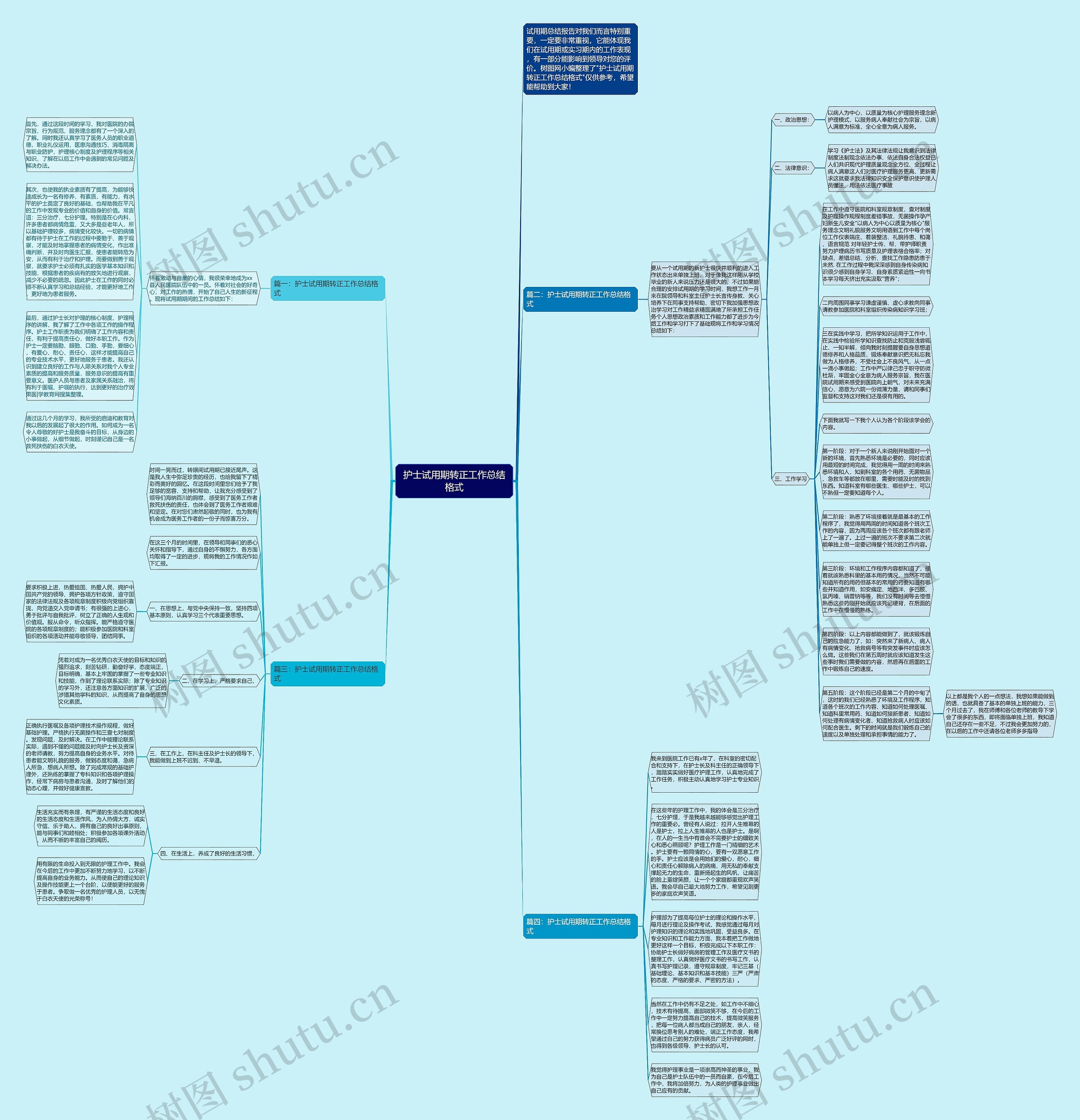 护士试用期转正工作总结格式思维导图