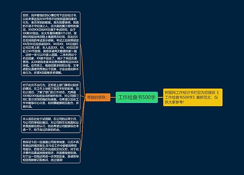 工作检查书500字