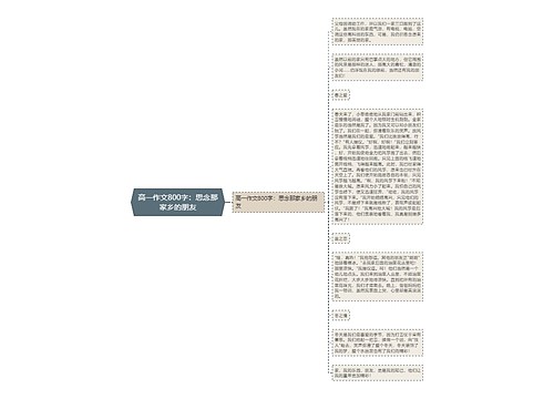 高一作文800字：思念那家乡的朋友