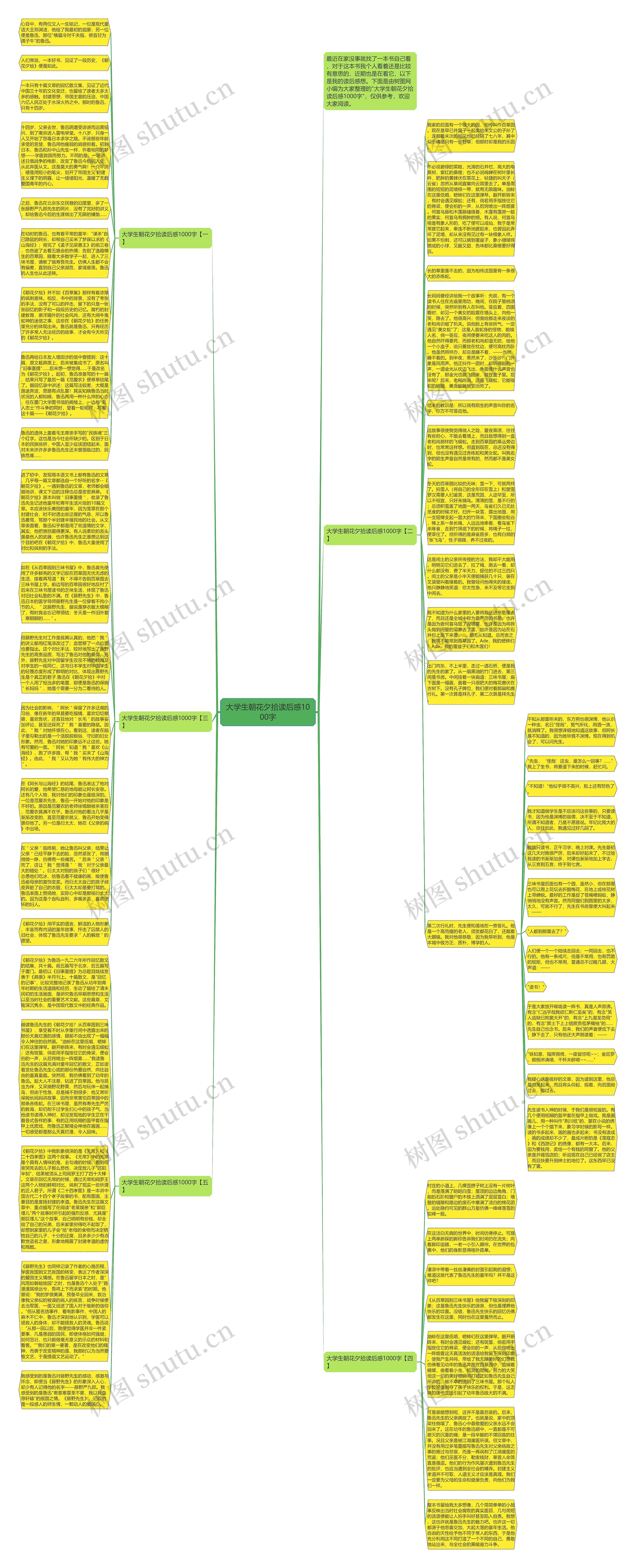 大学生朝花夕拾读后感1000字思维导图