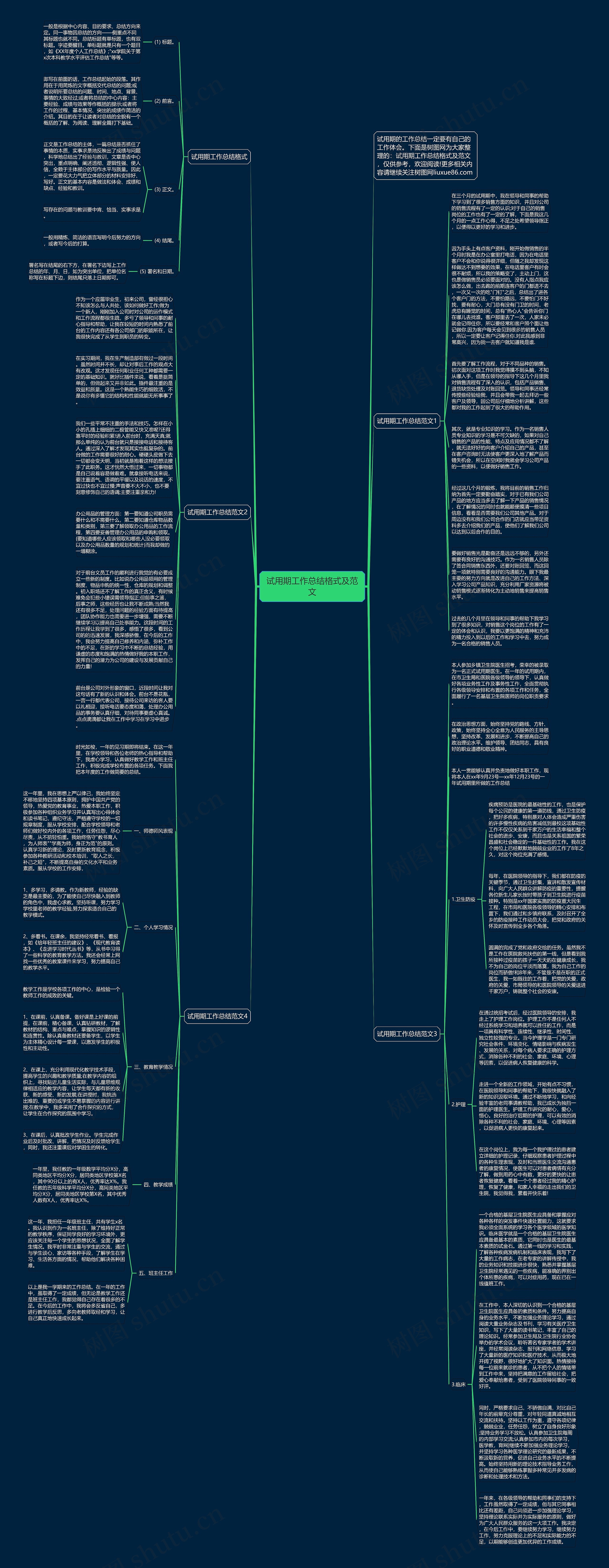 试用期工作总结格式及范文思维导图