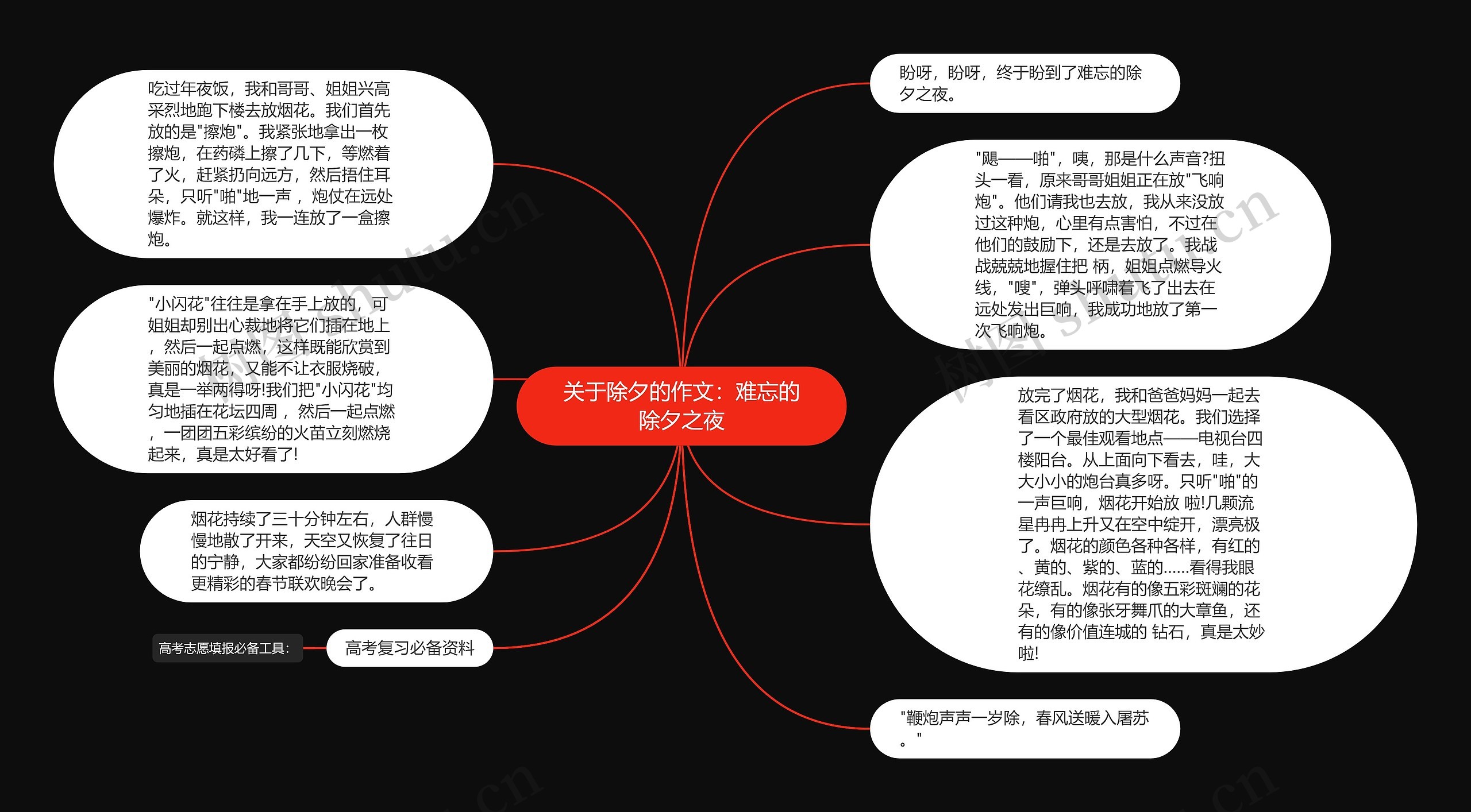 关于除夕的作文：难忘的除夕之夜