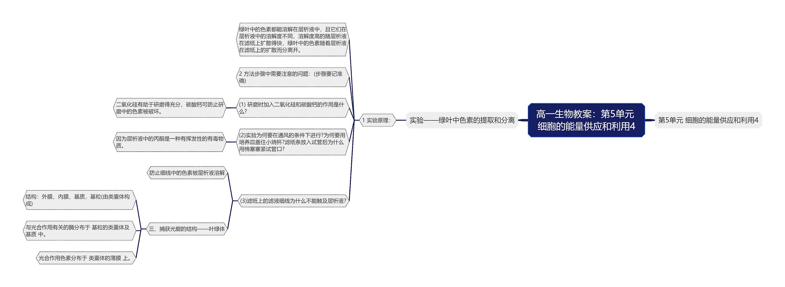 高一生物教案：第5单元 细胞的能量供应和利用4