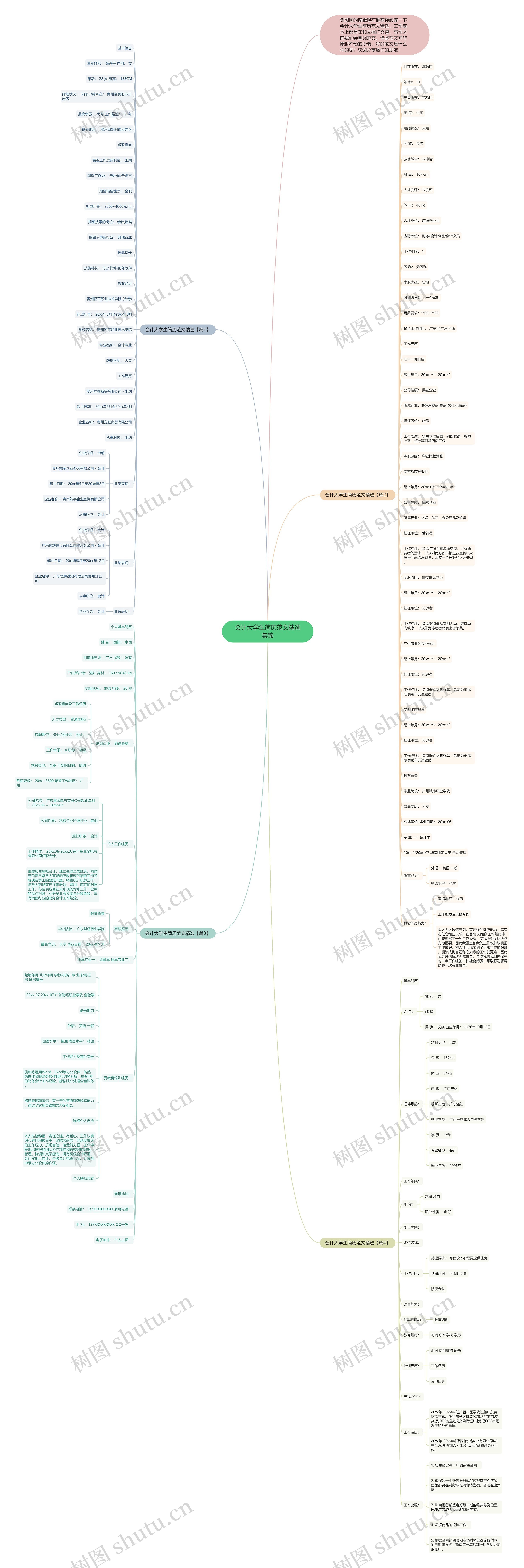 会计大学生简历范文精选集锦思维导图