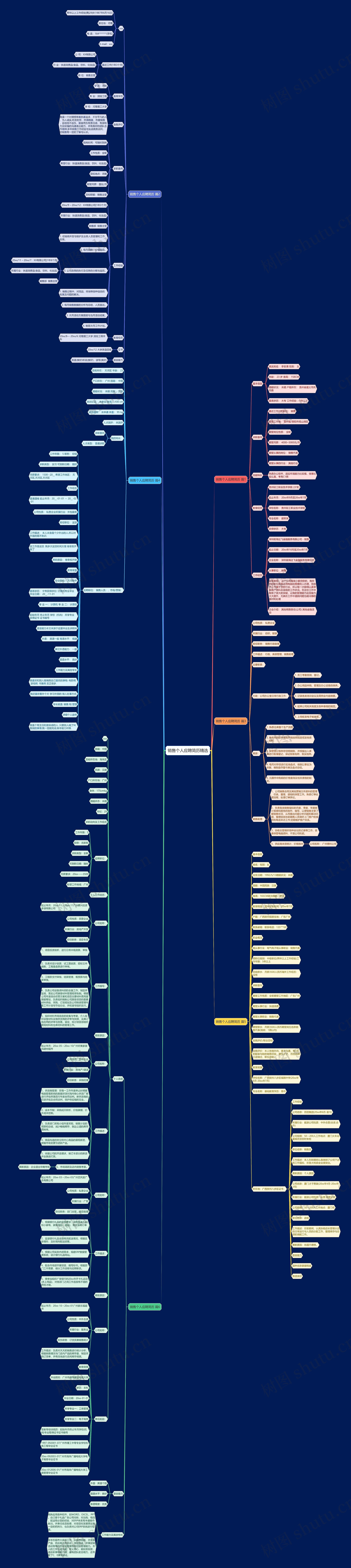 销售个人应聘简历精选思维导图