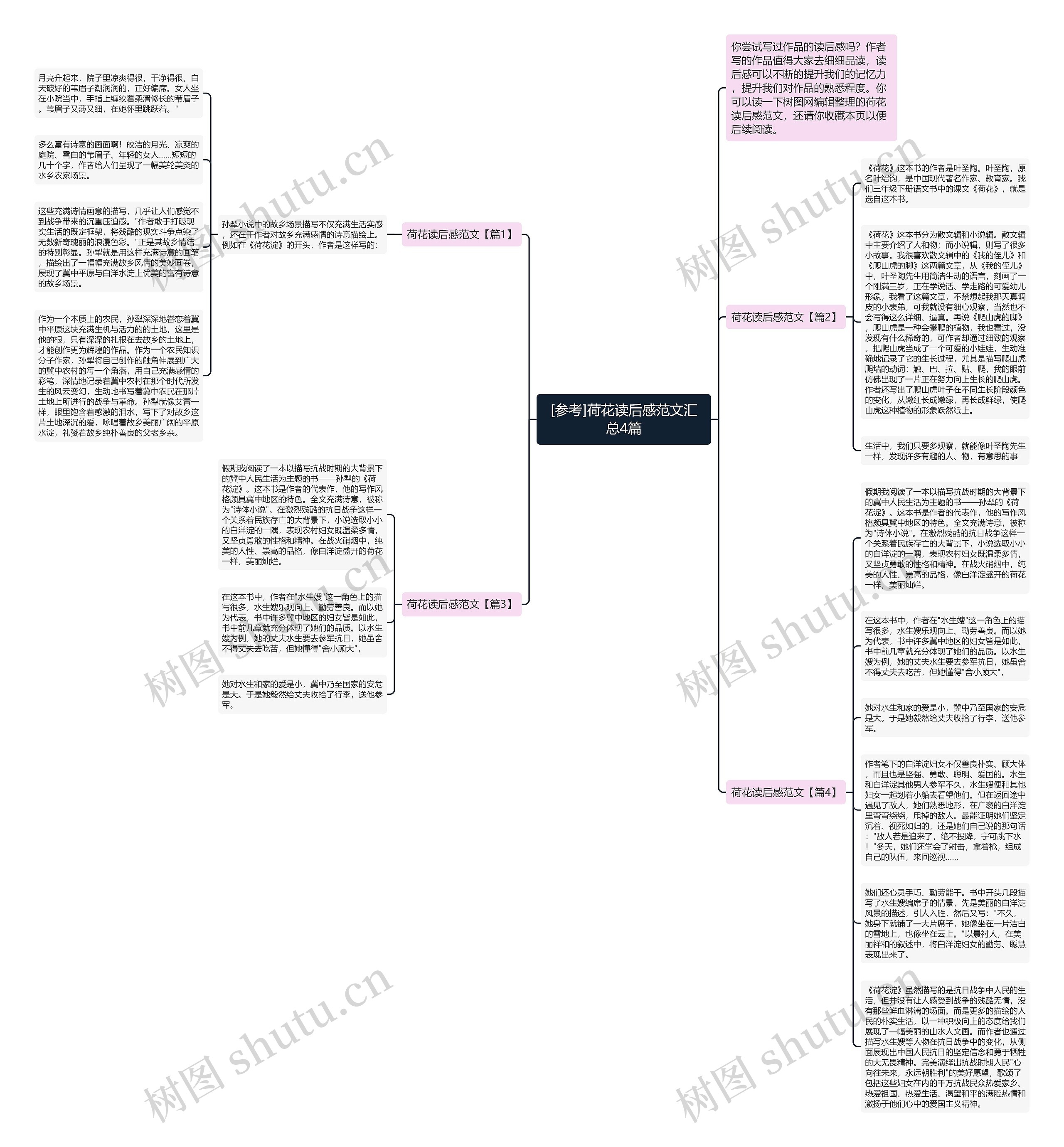 [参考]荷花读后感范文汇总4篇思维导图