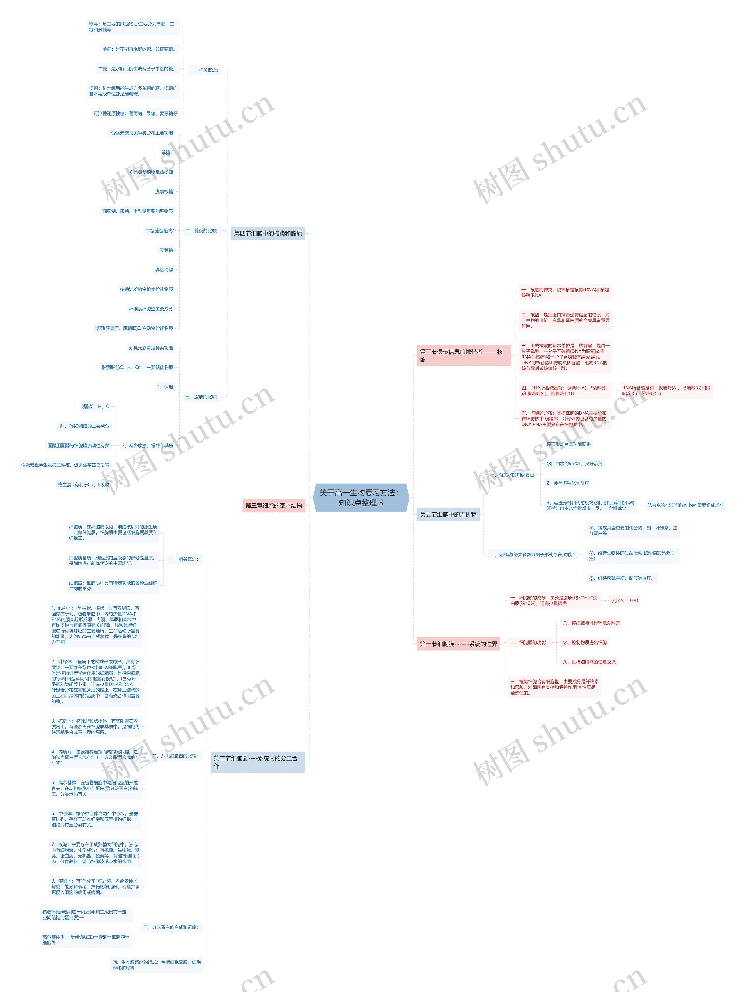 关于高一生物复习方法：知识点整理 3思维导图