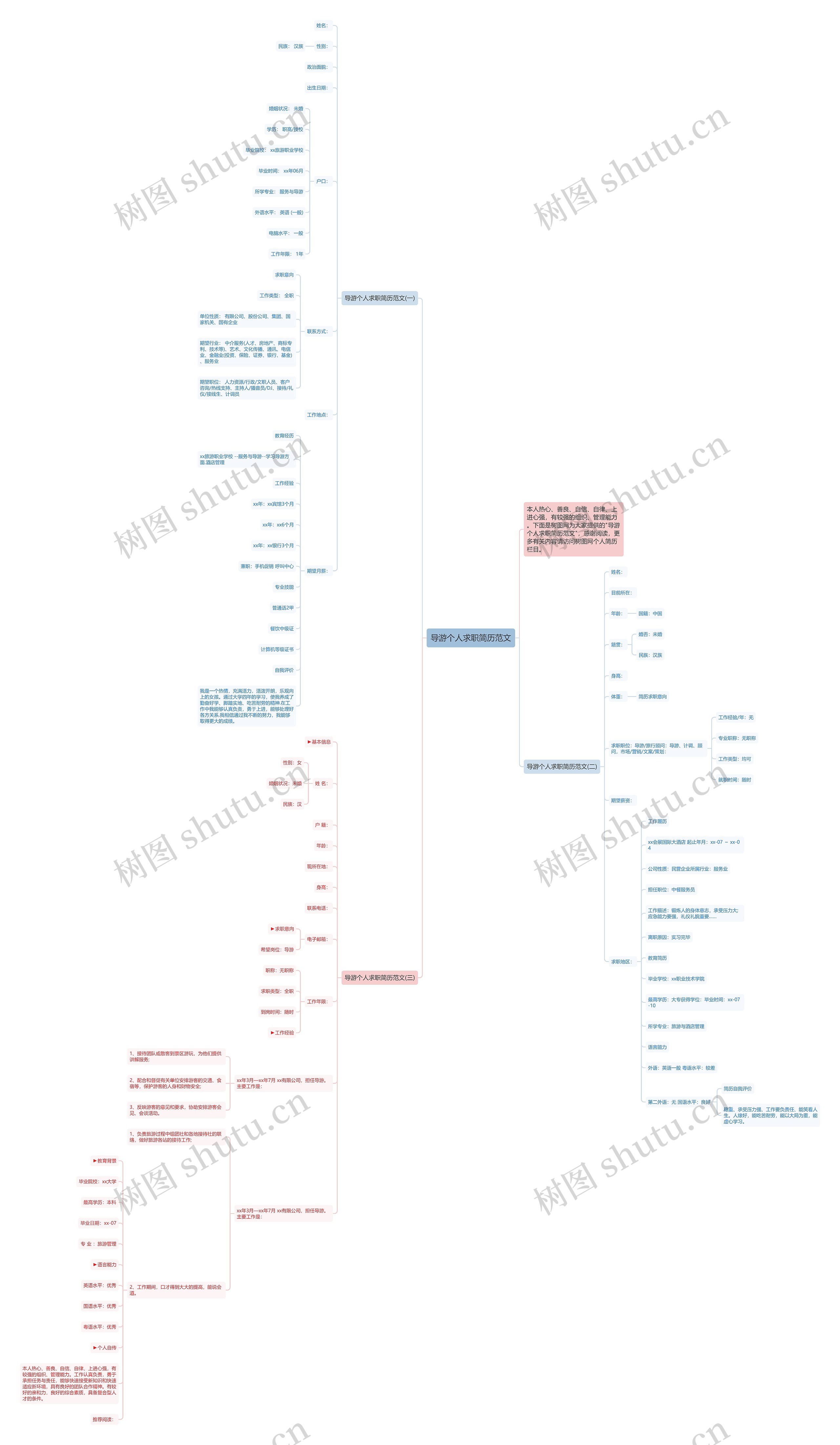 导游个人求职简历范文思维导图