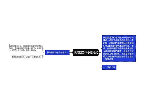 试用期工作小结格式