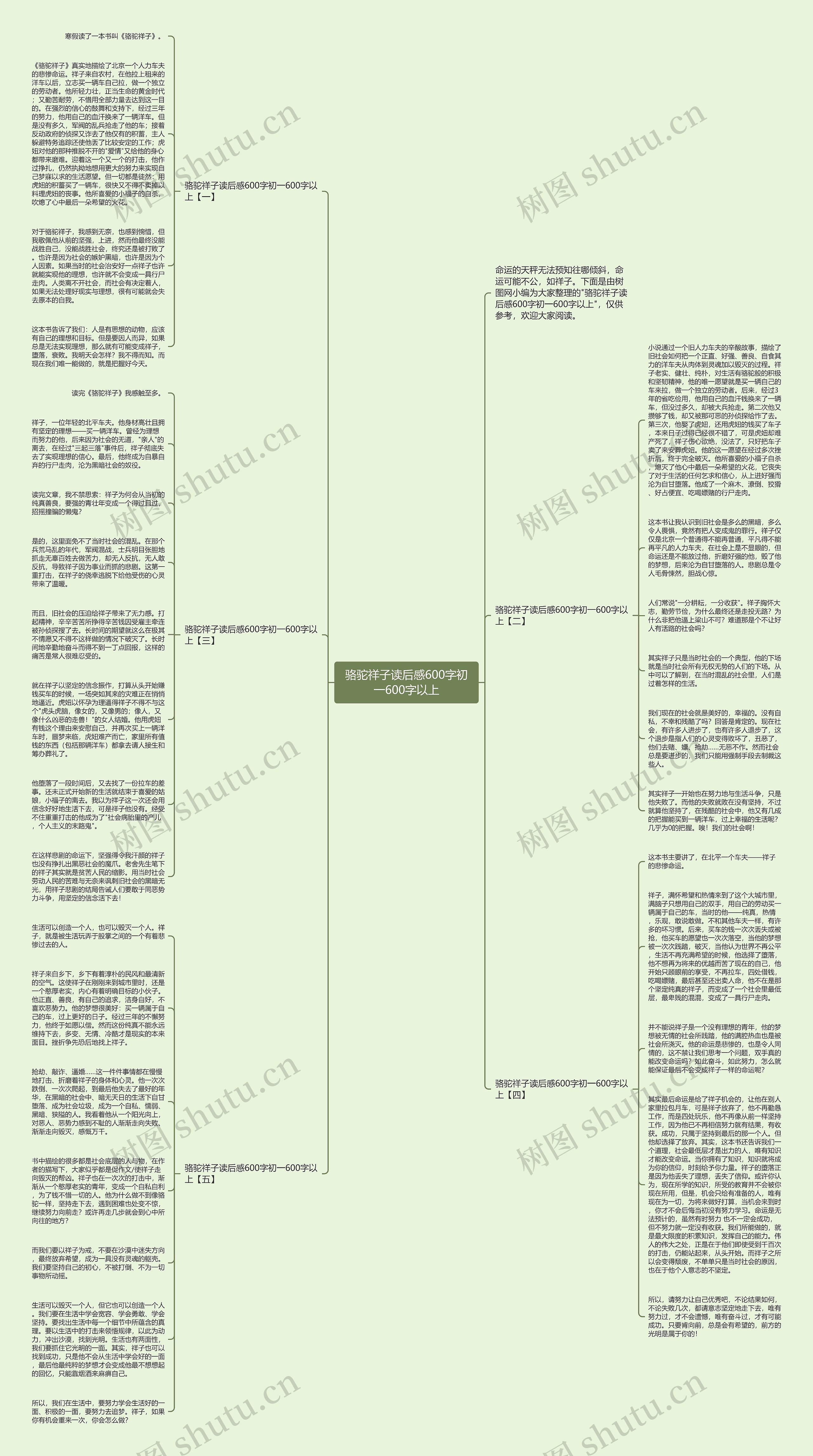 骆驼祥子读后感600字初一600字以上思维导图