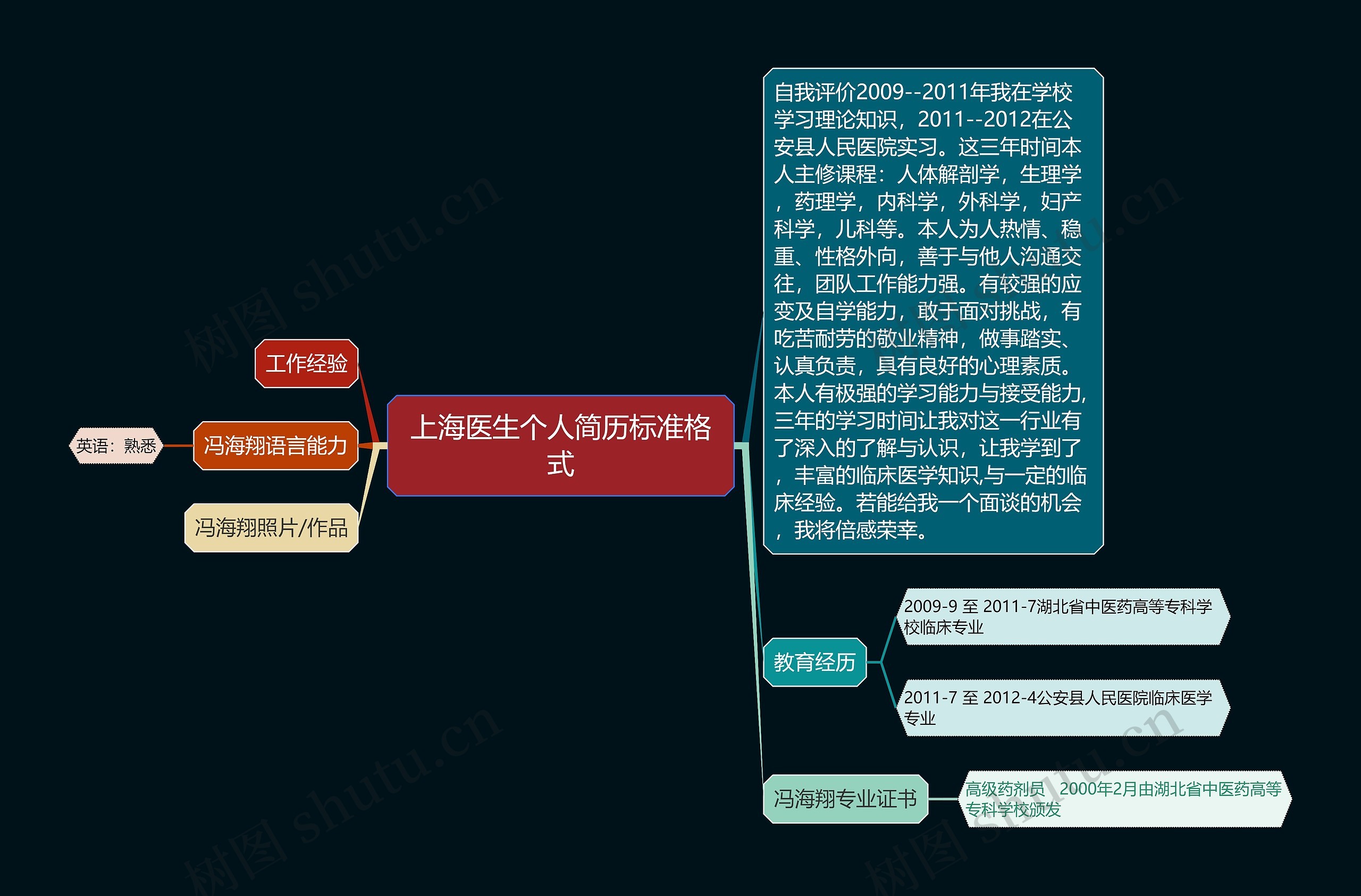 上海医生个人简历标准格式思维导图