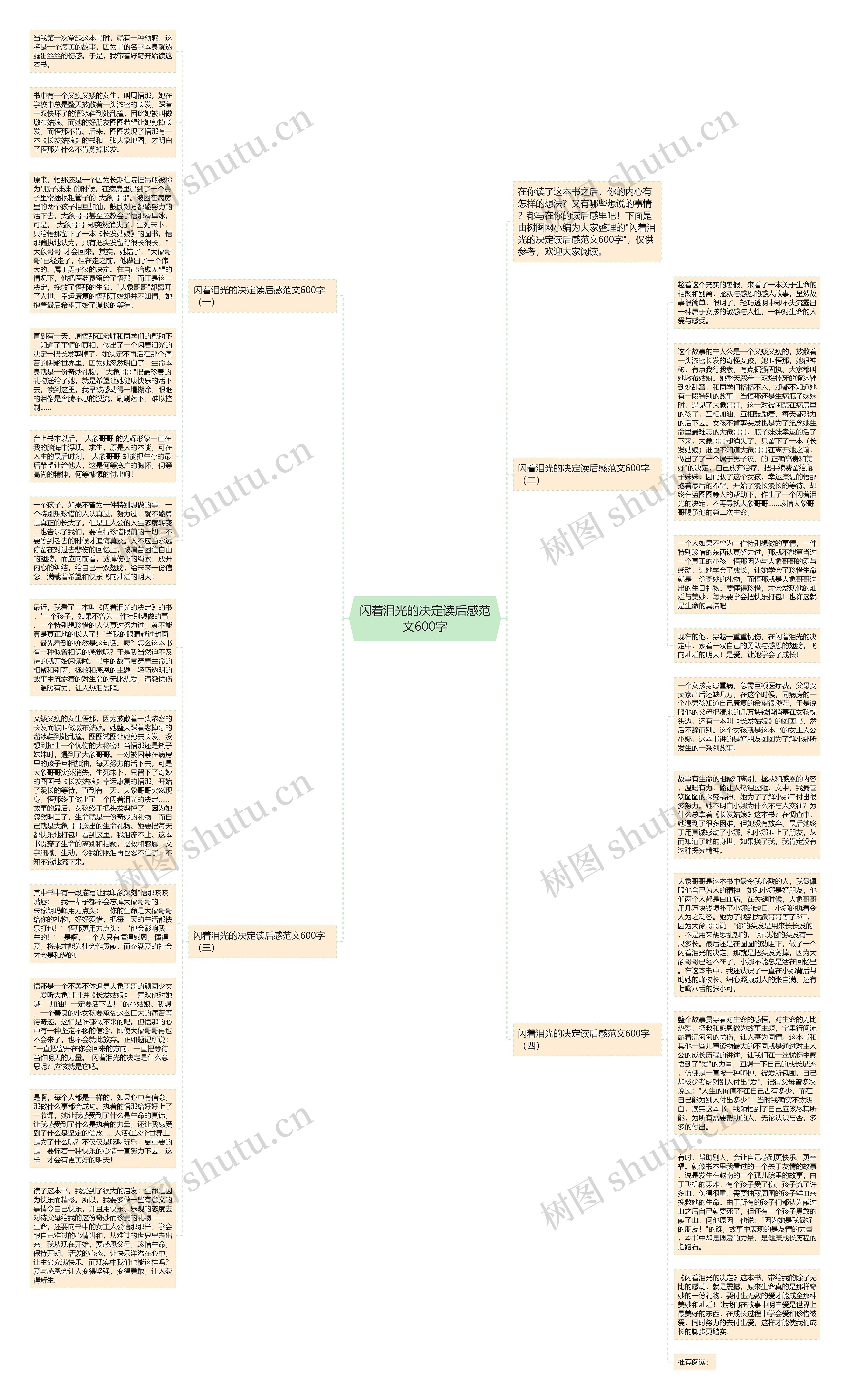闪着泪光的决定读后感范文600字思维导图