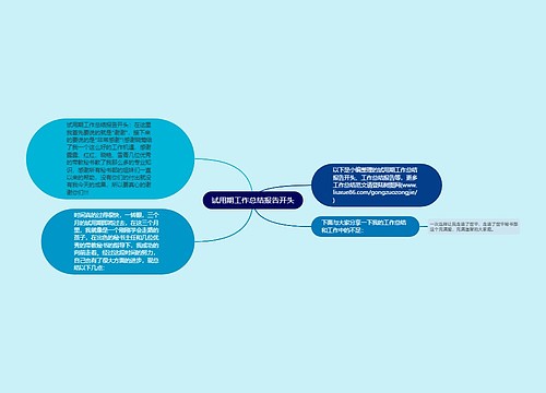 试用期工作总结报告开头