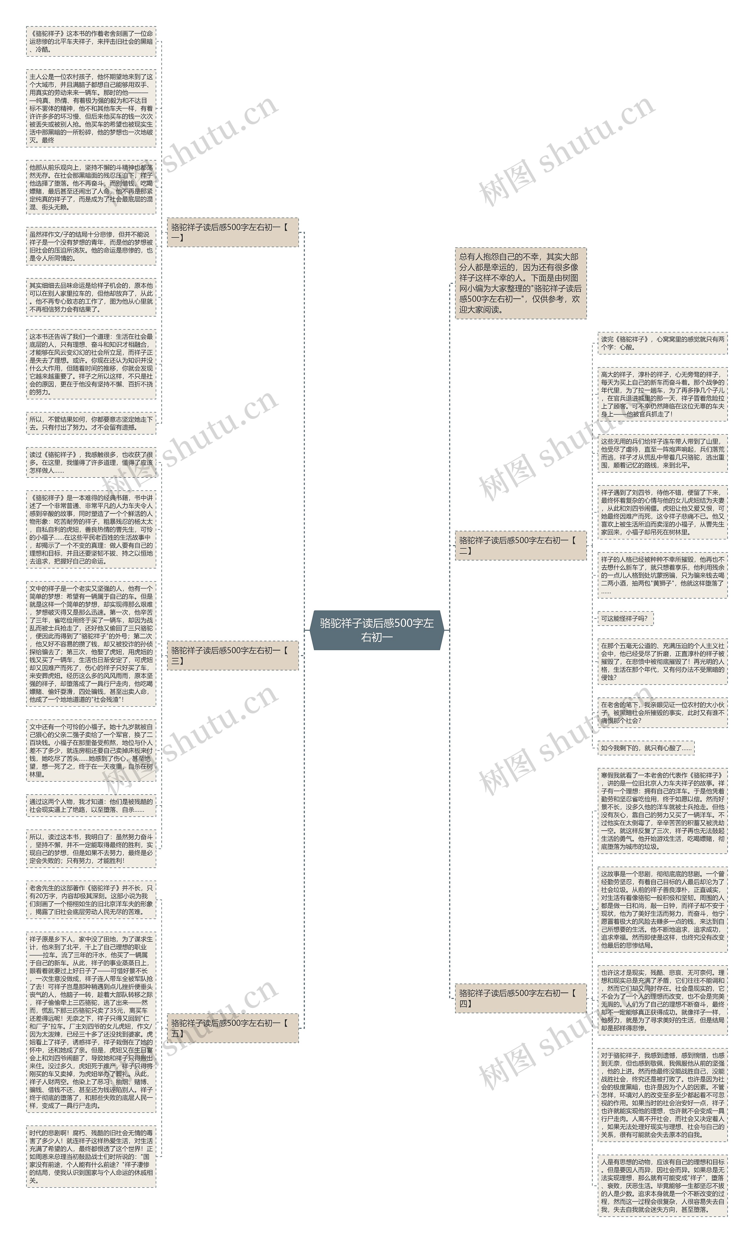 骆驼祥子读后感500字左右初一思维导图