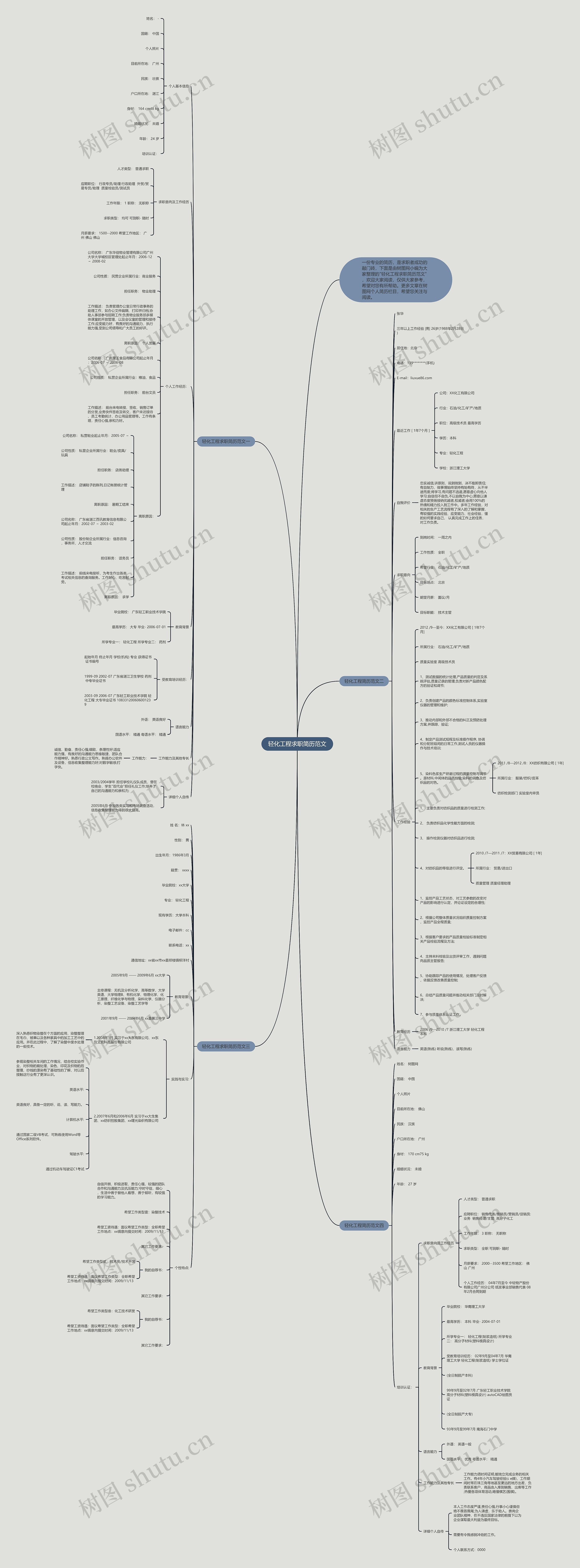 轻化工程求职简历范文思维导图