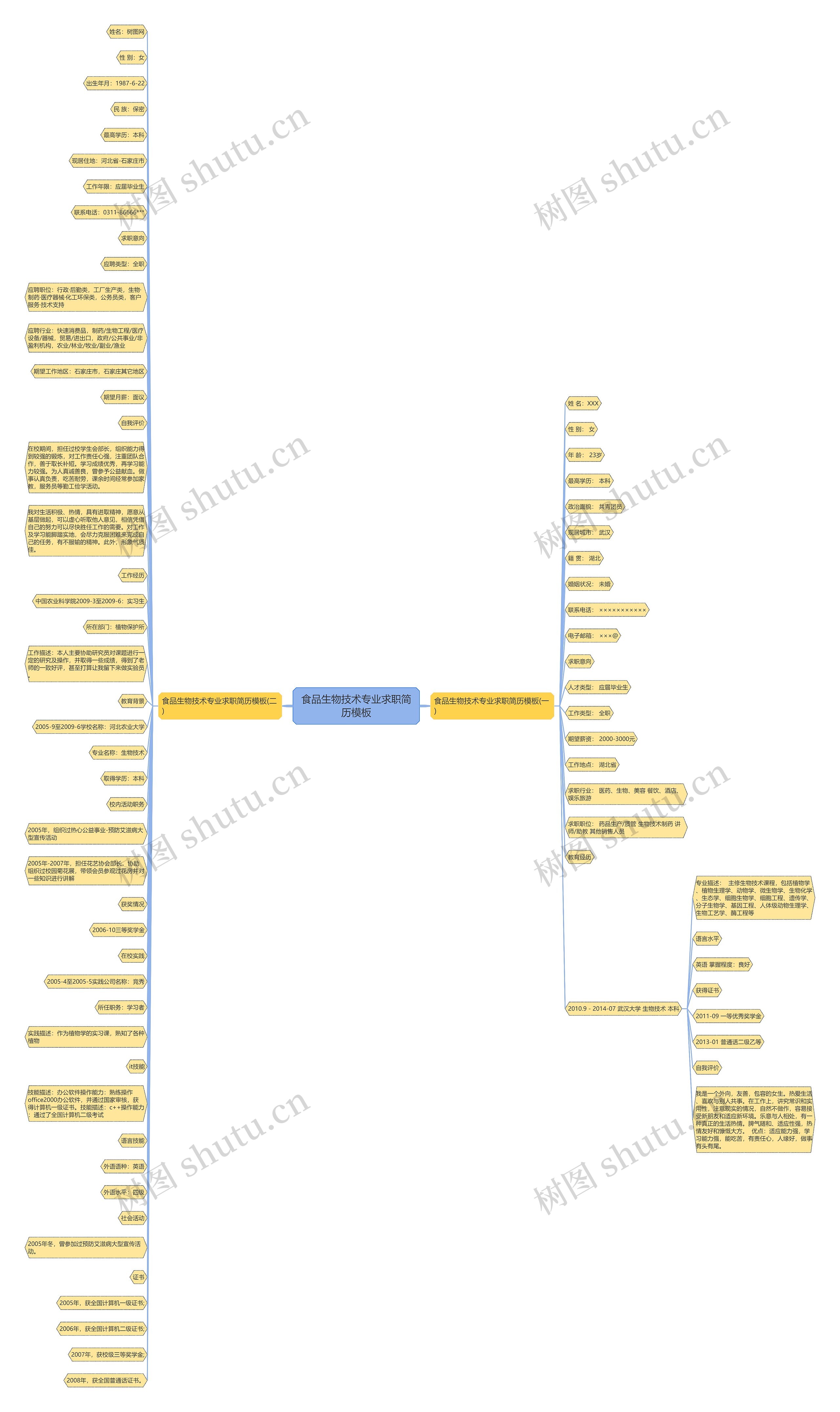 食品生物技术专业求职简历思维导图