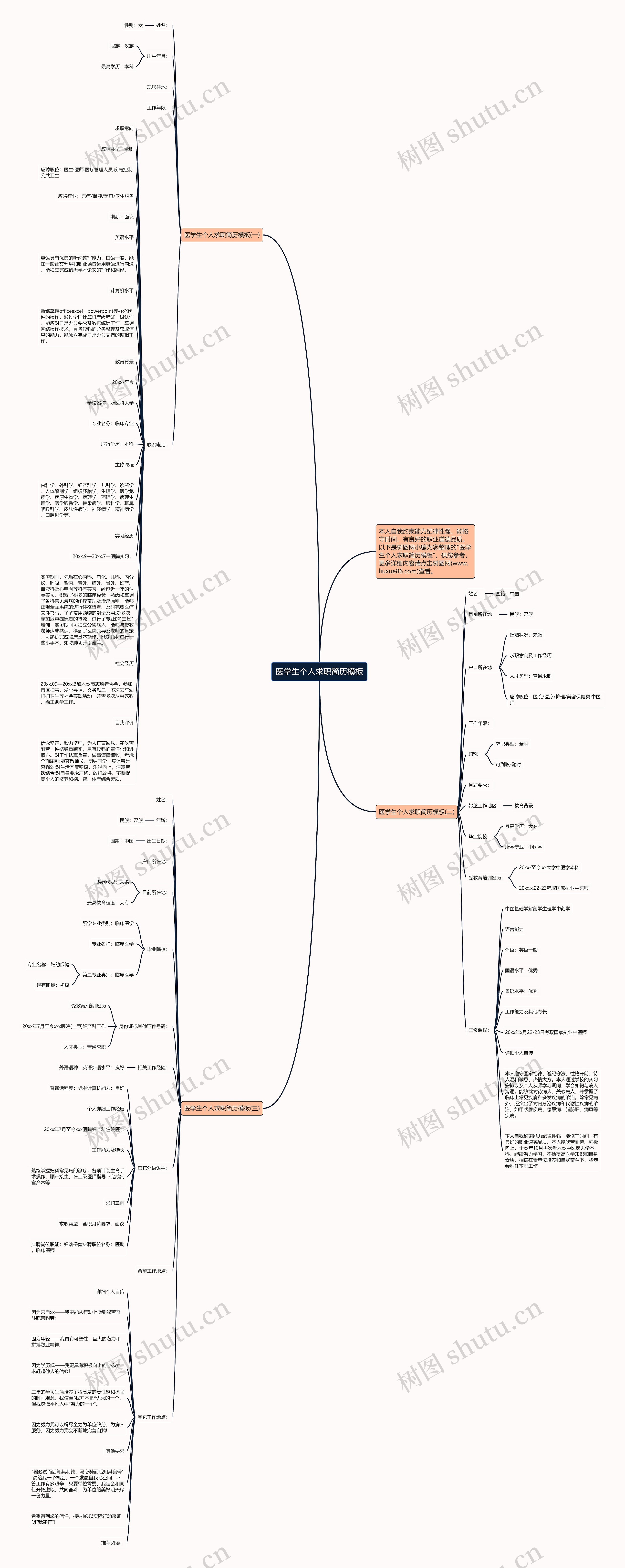 医学生个人求职简历思维导图