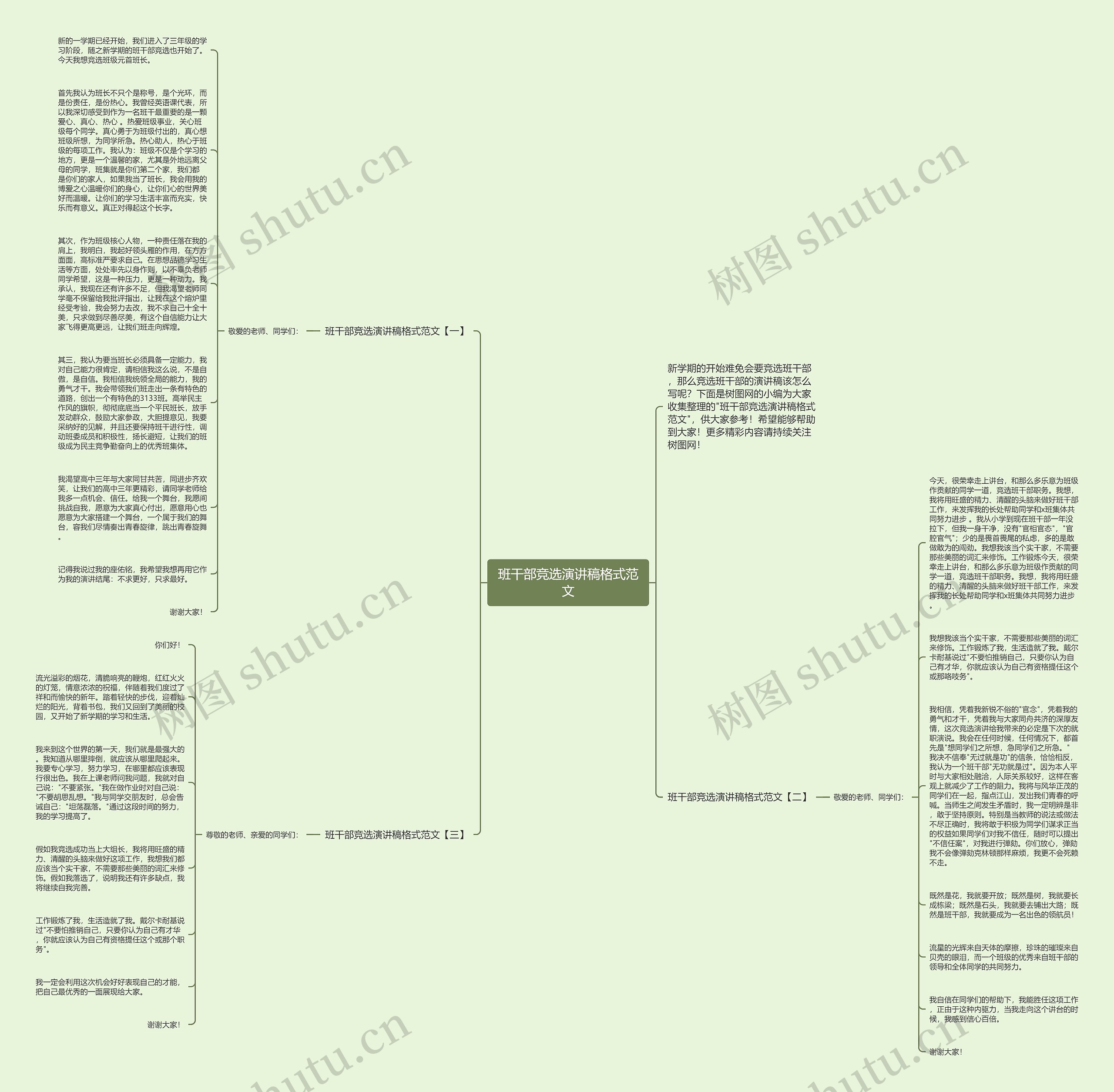 班干部竞选演讲稿格式范文思维导图