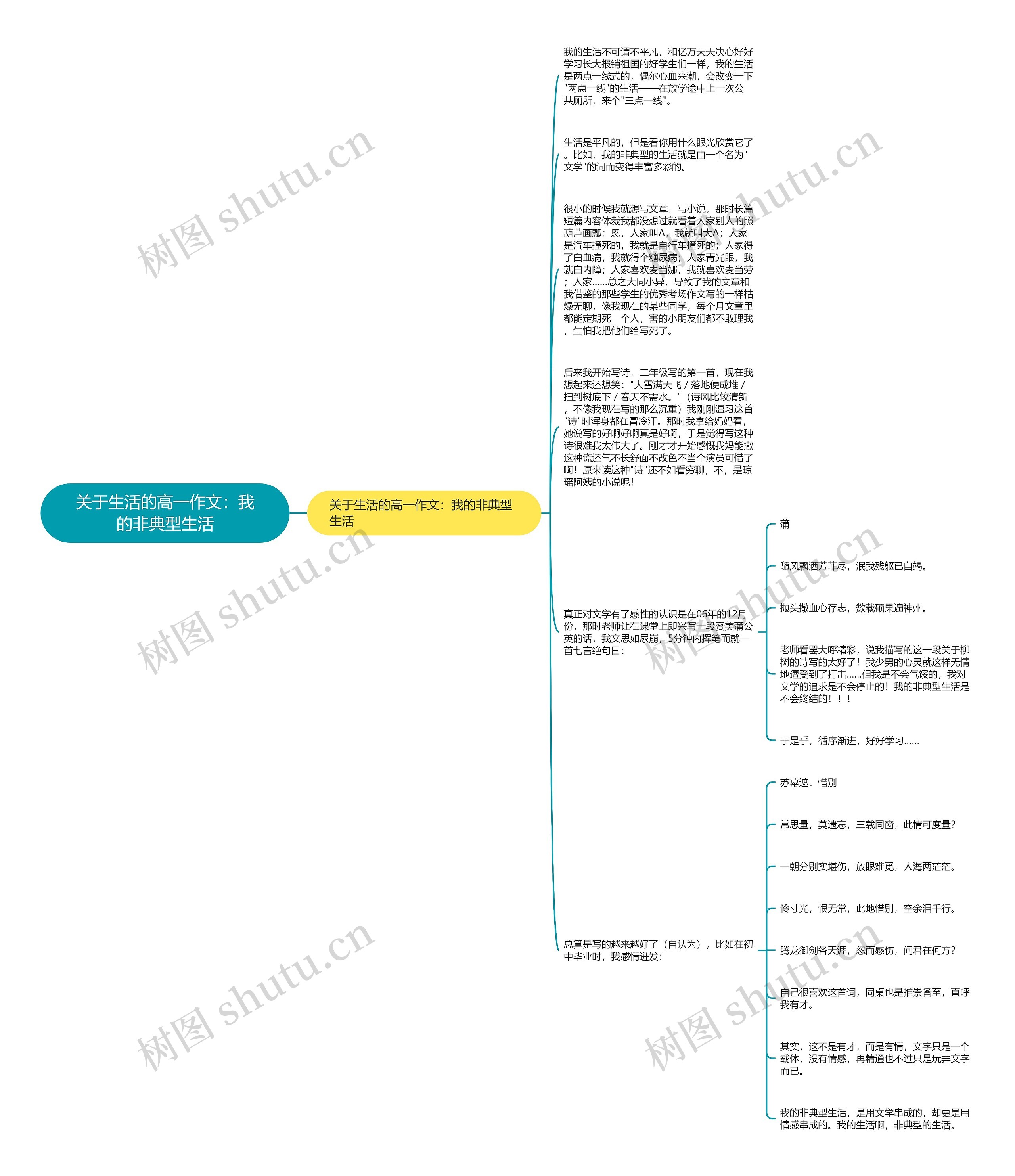 关于生活的高一作文：我的非典型生活思维导图