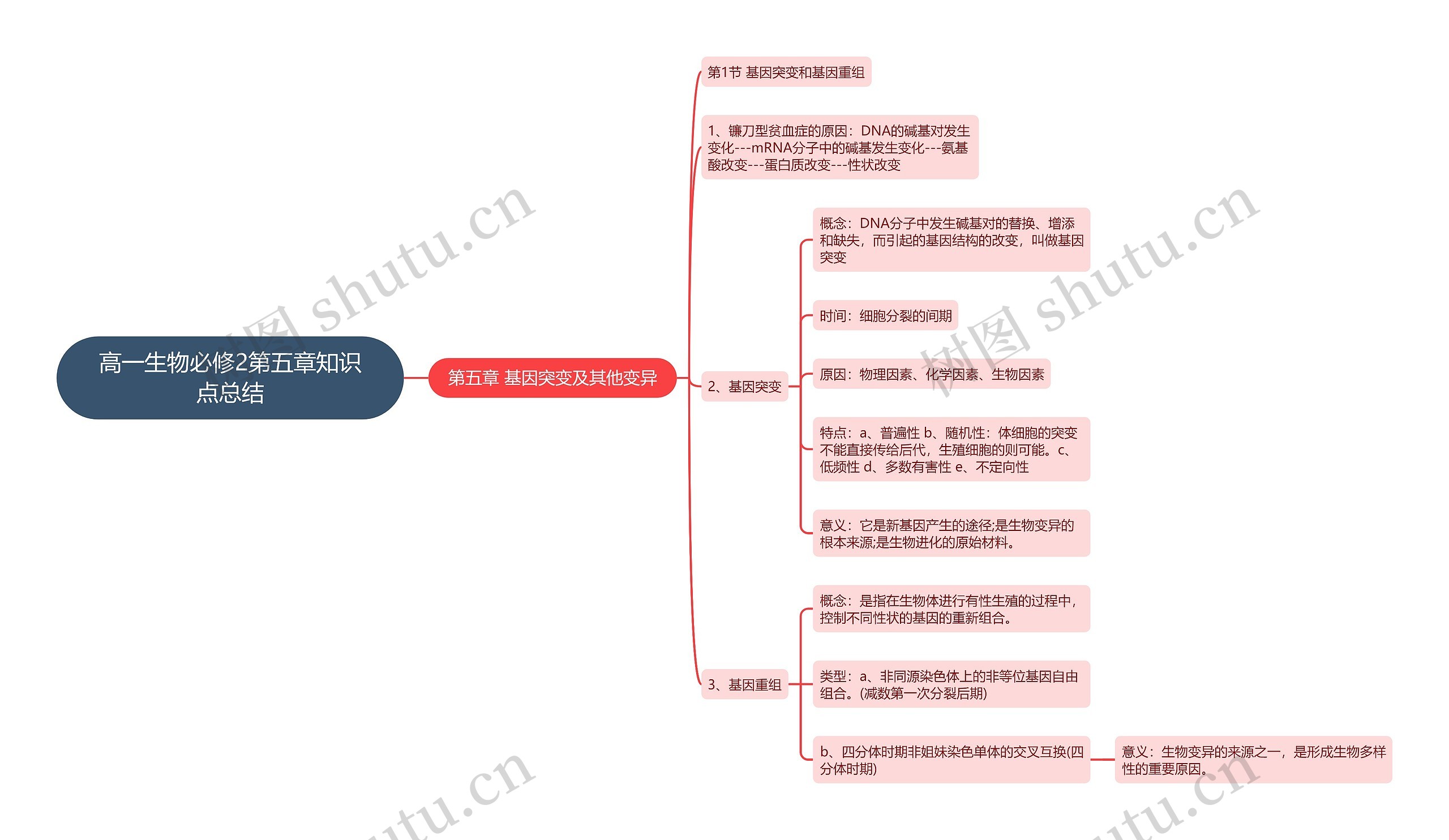 高一生物必修2第五章知识点总结思维导图