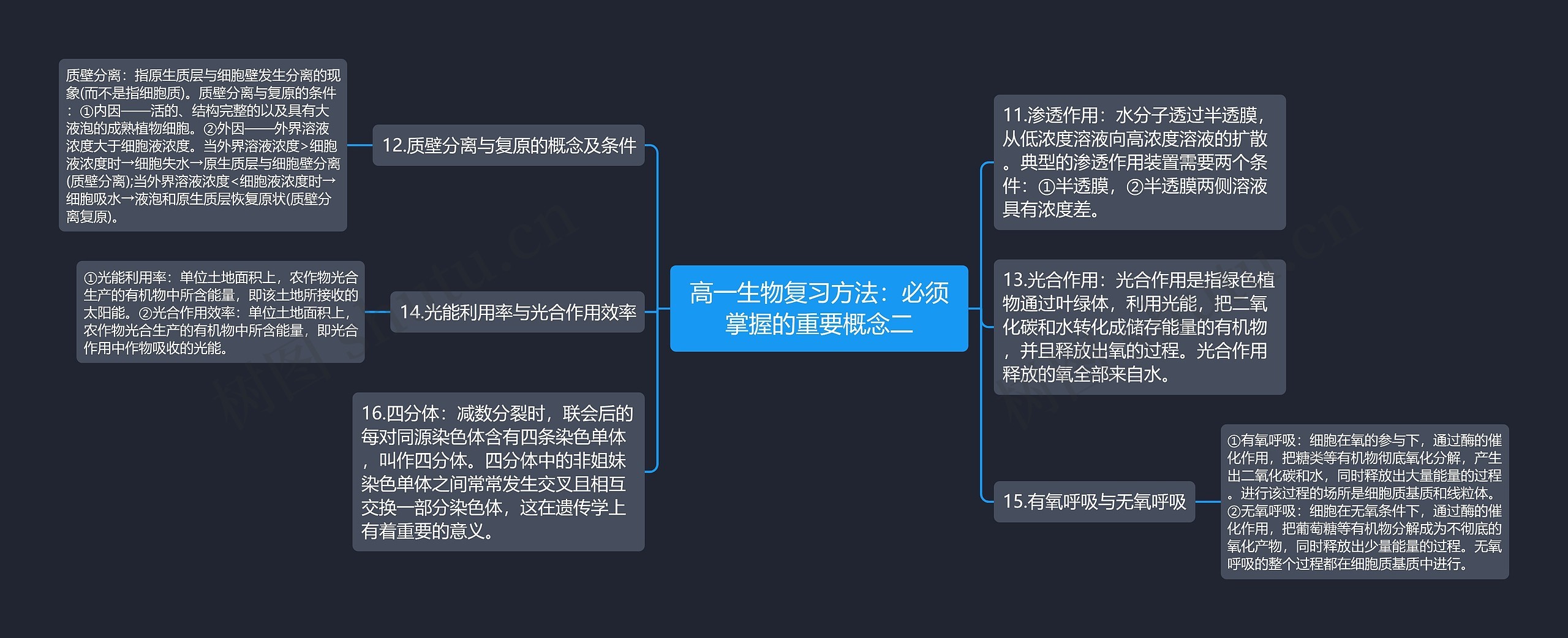 高一生物复习方法：必须掌握的重要概念二思维导图