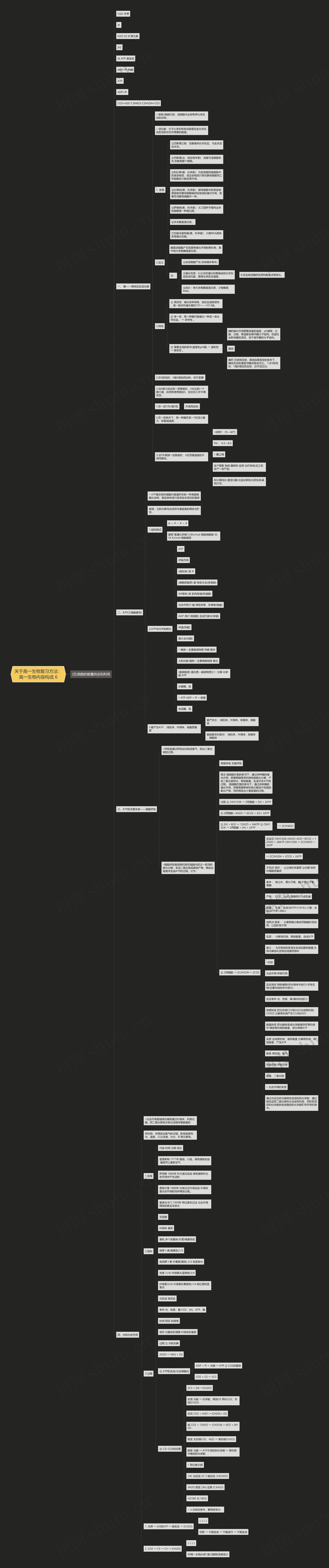 关于高一生物复习方法：高一生物内容构成 6思维导图