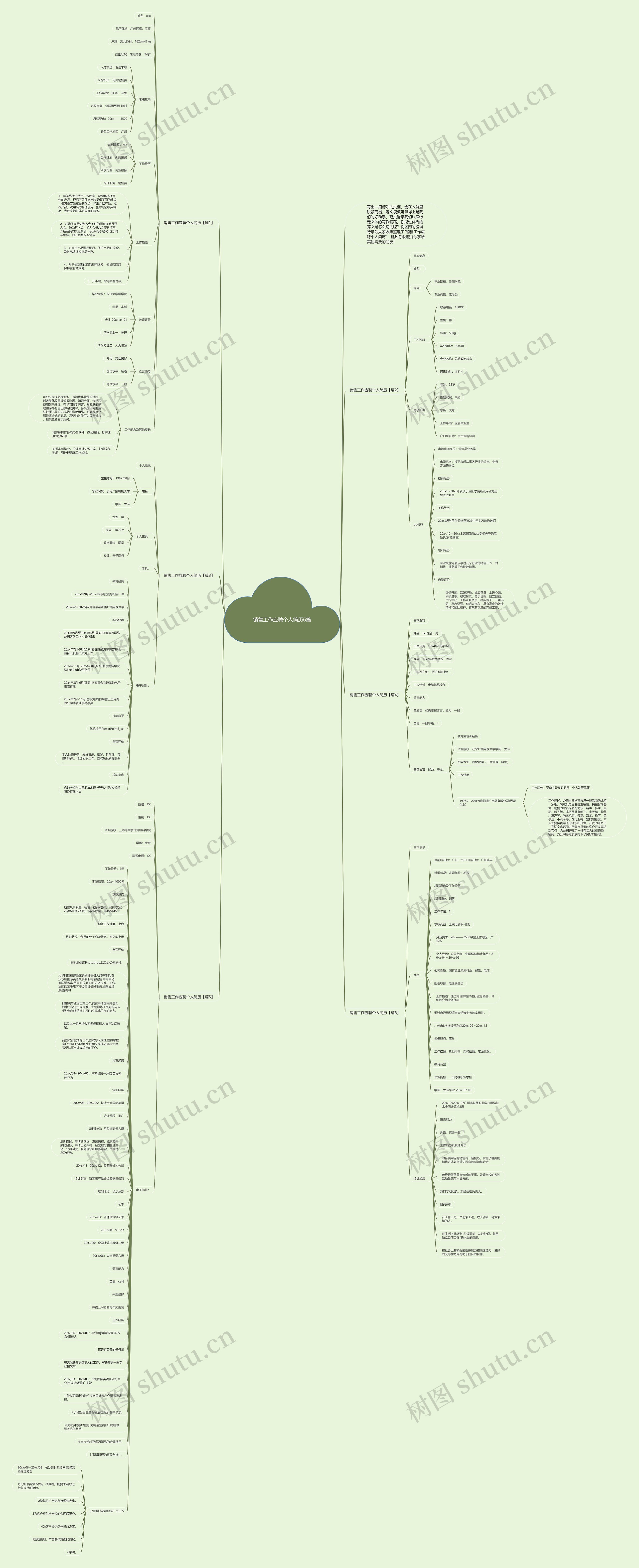 销售工作应聘个人简历6篇思维导图