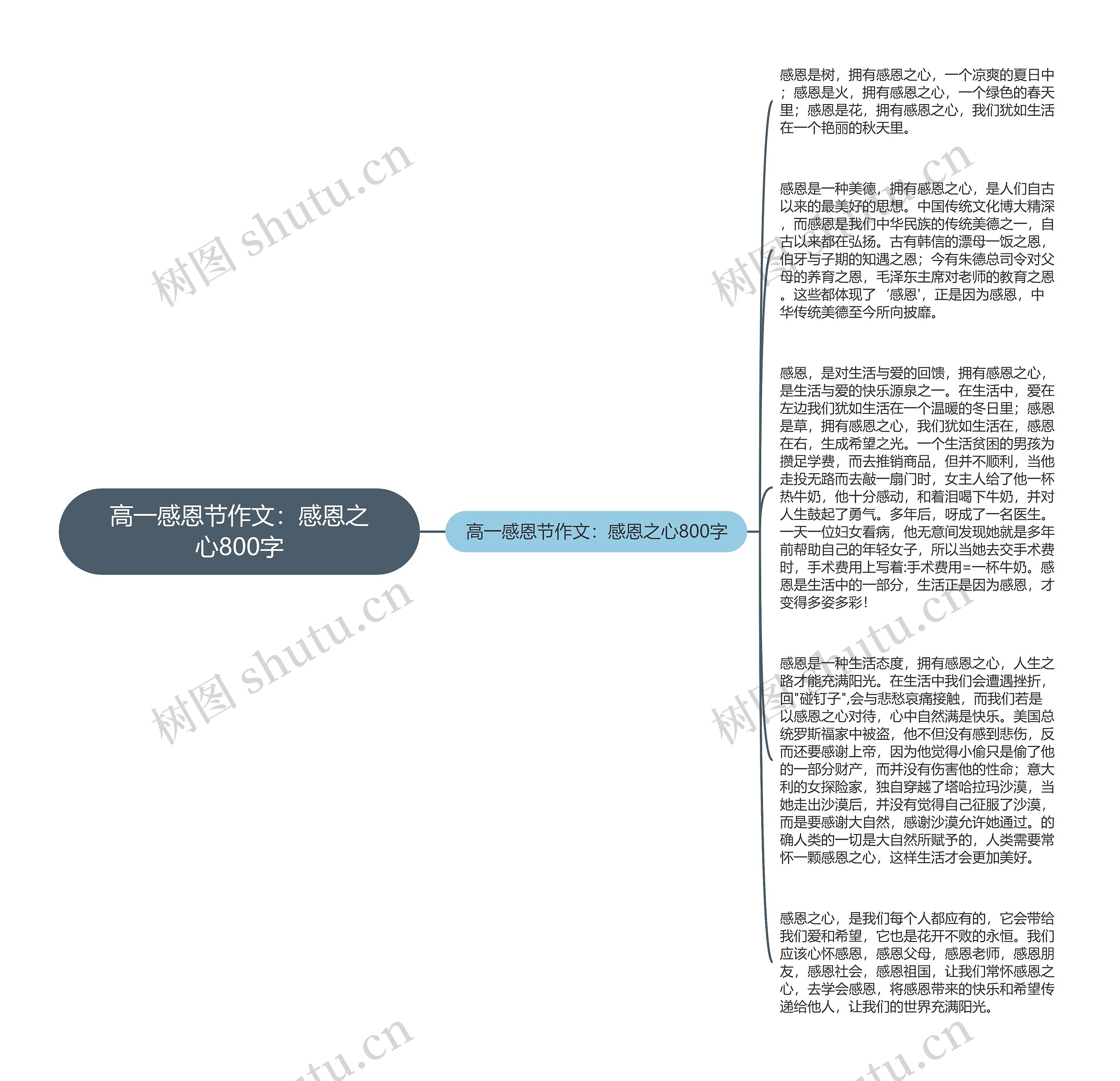 高一感恩节作文：感恩之心800字思维导图