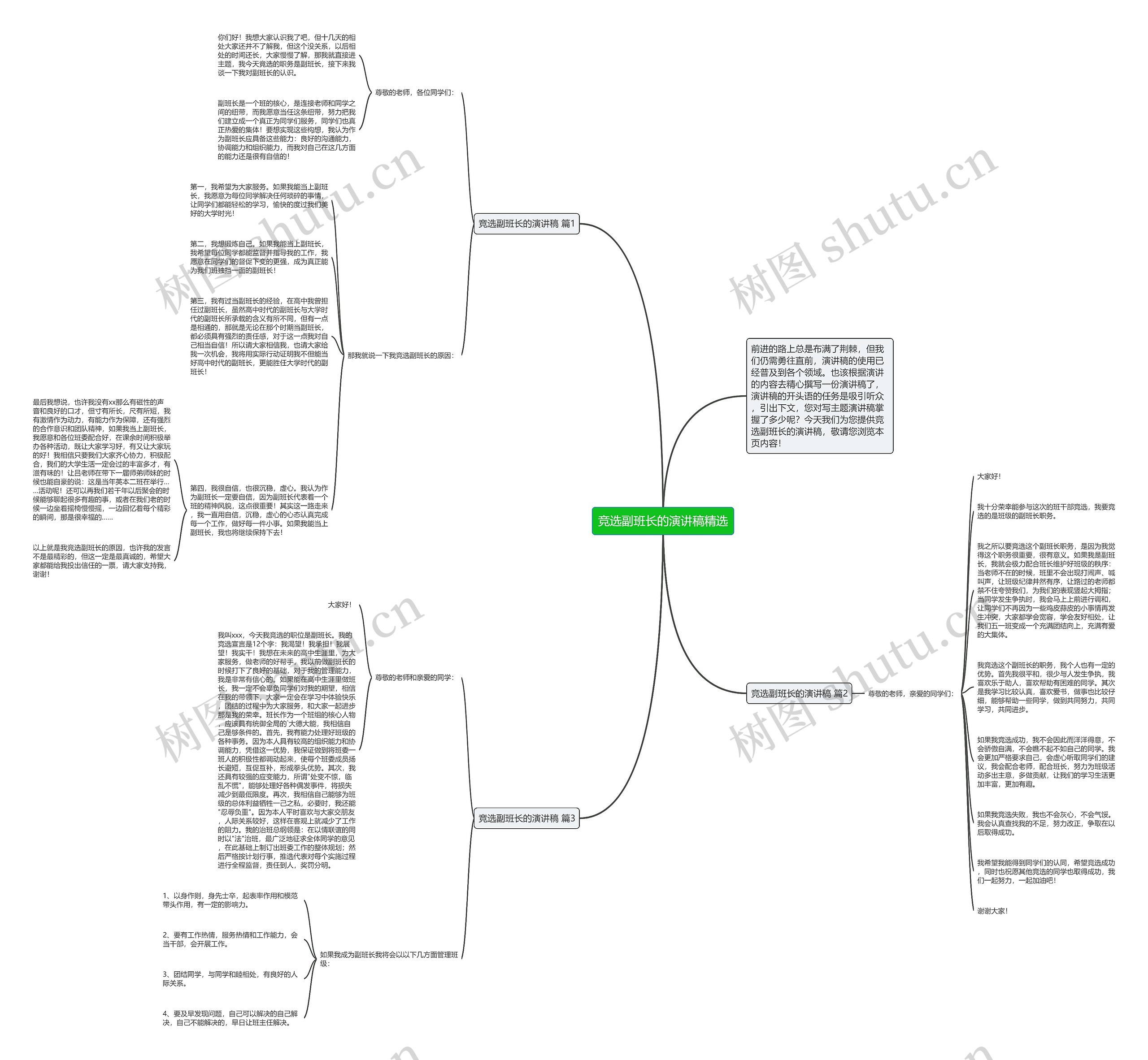竞选副班长的演讲稿精选思维导图